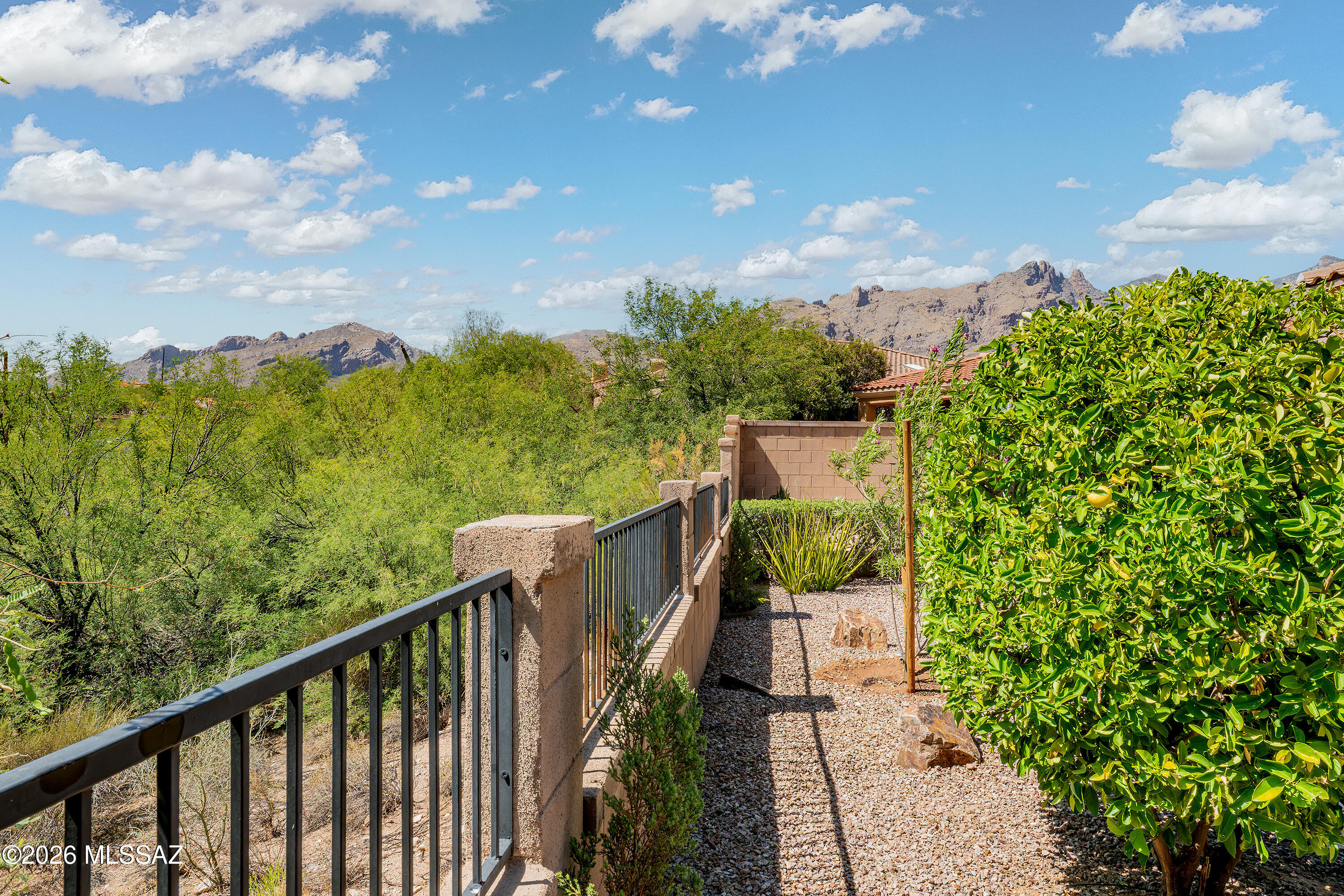 Village 1 At the Villages of La Paloma - Residential
