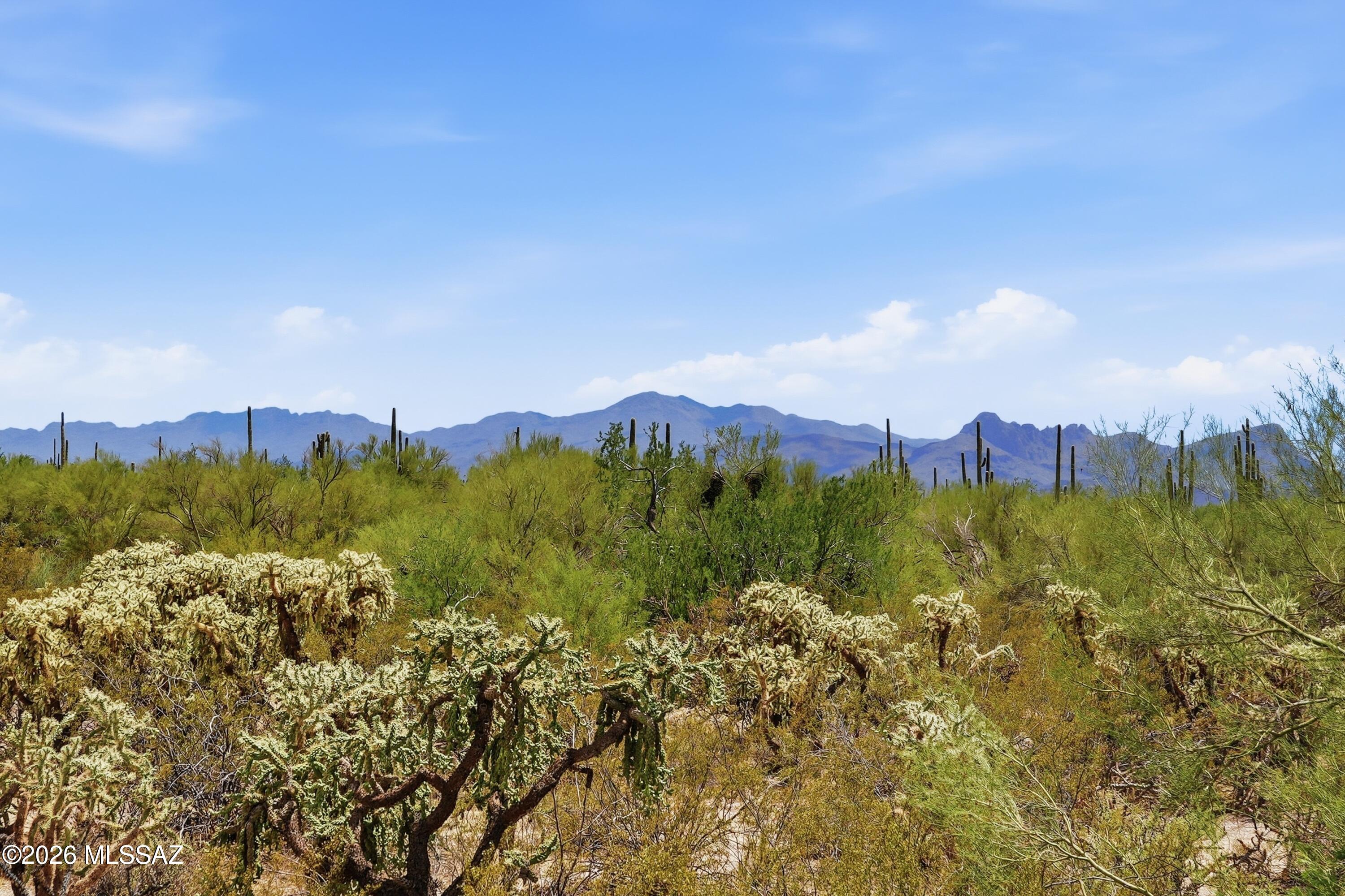 Del Webb At Dove Mountain SQ20131930189 - Residential