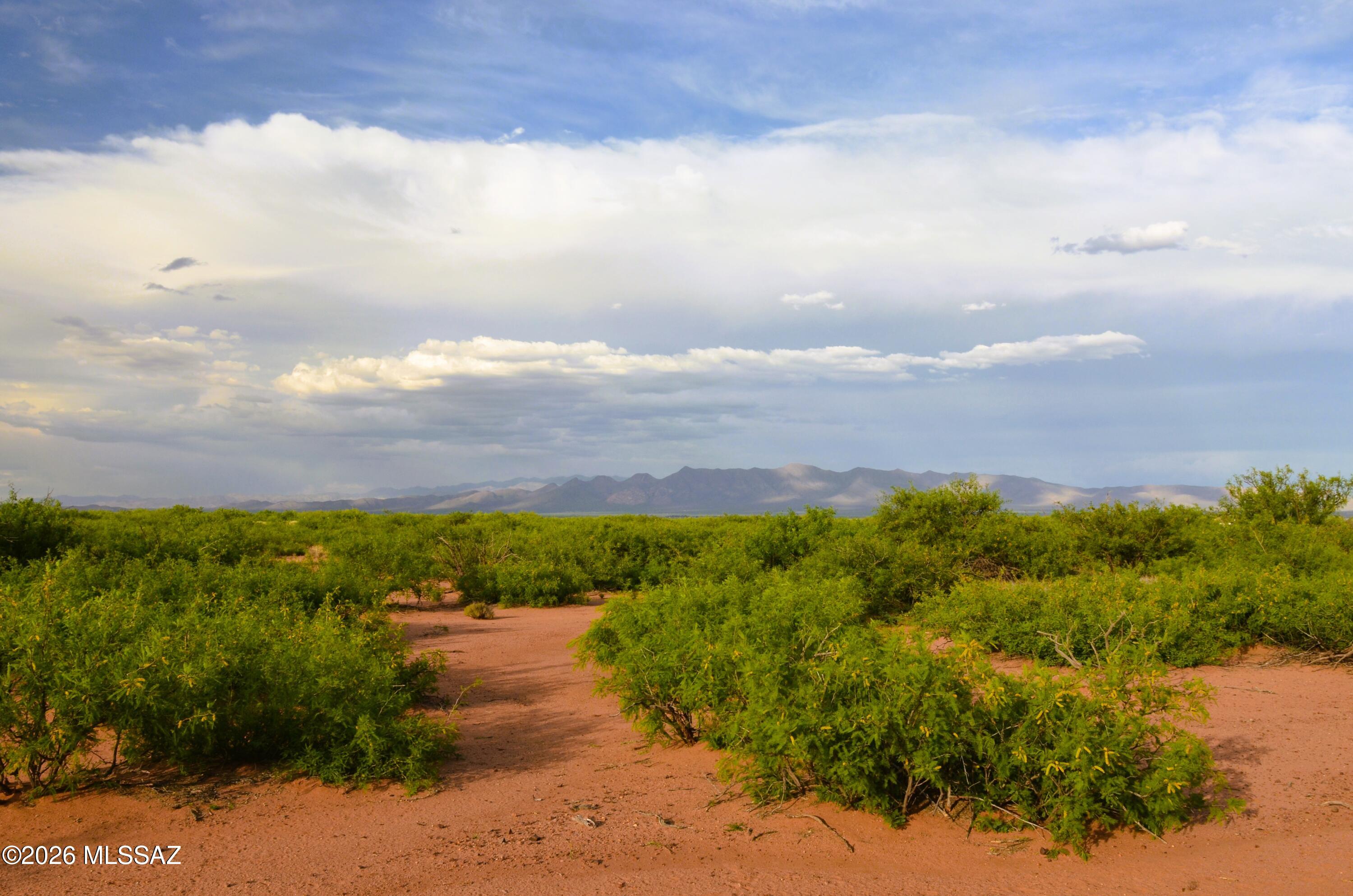 SURVEYED Uplifting and Private 9 acre lot with well-maintained roads. GREAT alluvial soil for perc testing, building and gardening.  20 minutes to Bisbee, 30 minutes to a Super Walmart, etc in Douglas.  Approx 3 miles to one of the great birding meccas in the SW, Whitewater Draw, the wintering home to 20,000 migratory birds like the Sandhill Cranes, tons of raptors.  Because of the close proximity-water is hit at approximately 125 feet! there is a HOA that collects $15 a month to maintain the roads.  The seller has made arrangements to pay a contractor $3000 to pay for the connection of the parcel to Tombstone Trail, with an accepted offer. Hence a $2000 price increase.