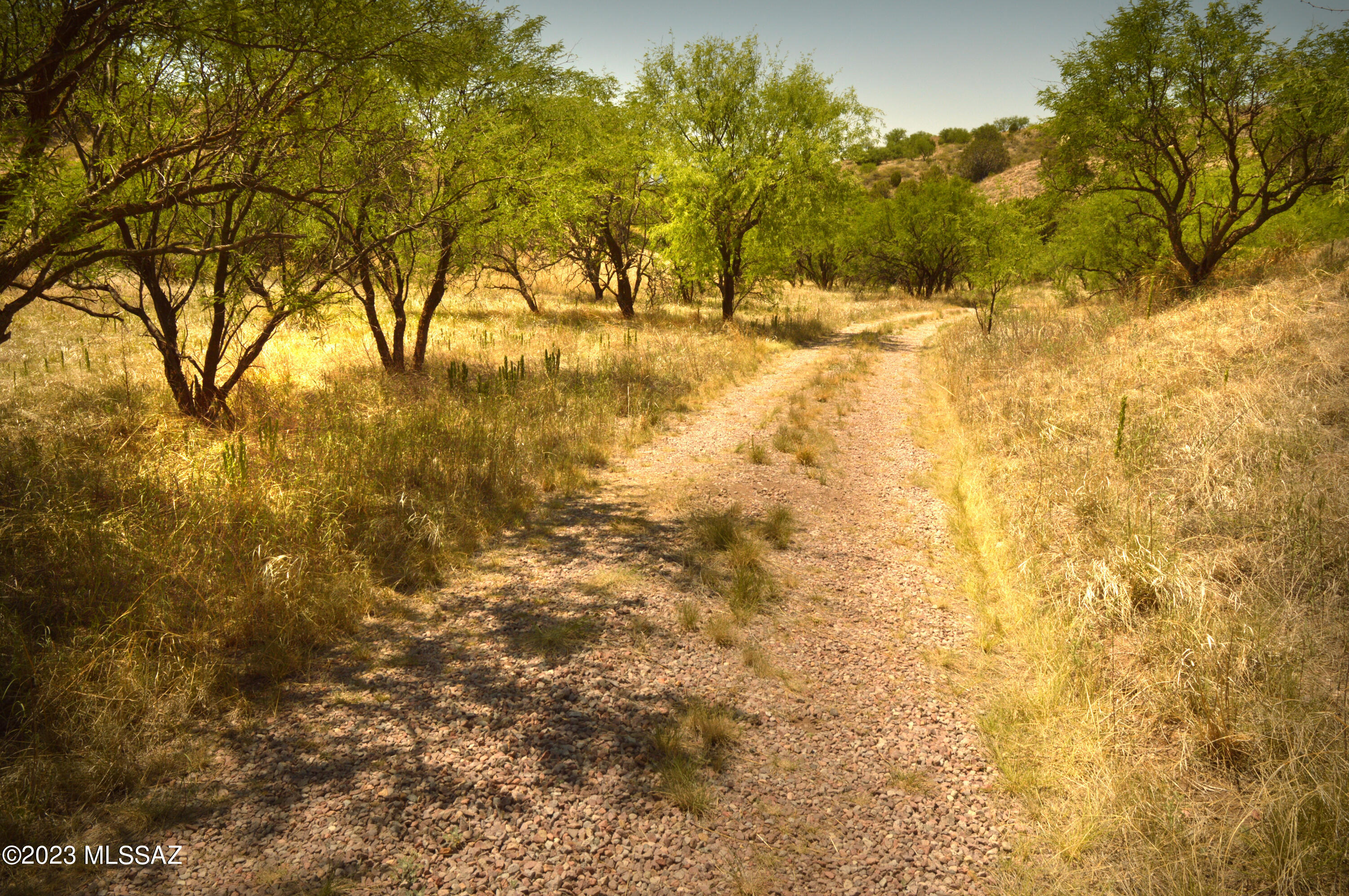 Three Canyons - Land