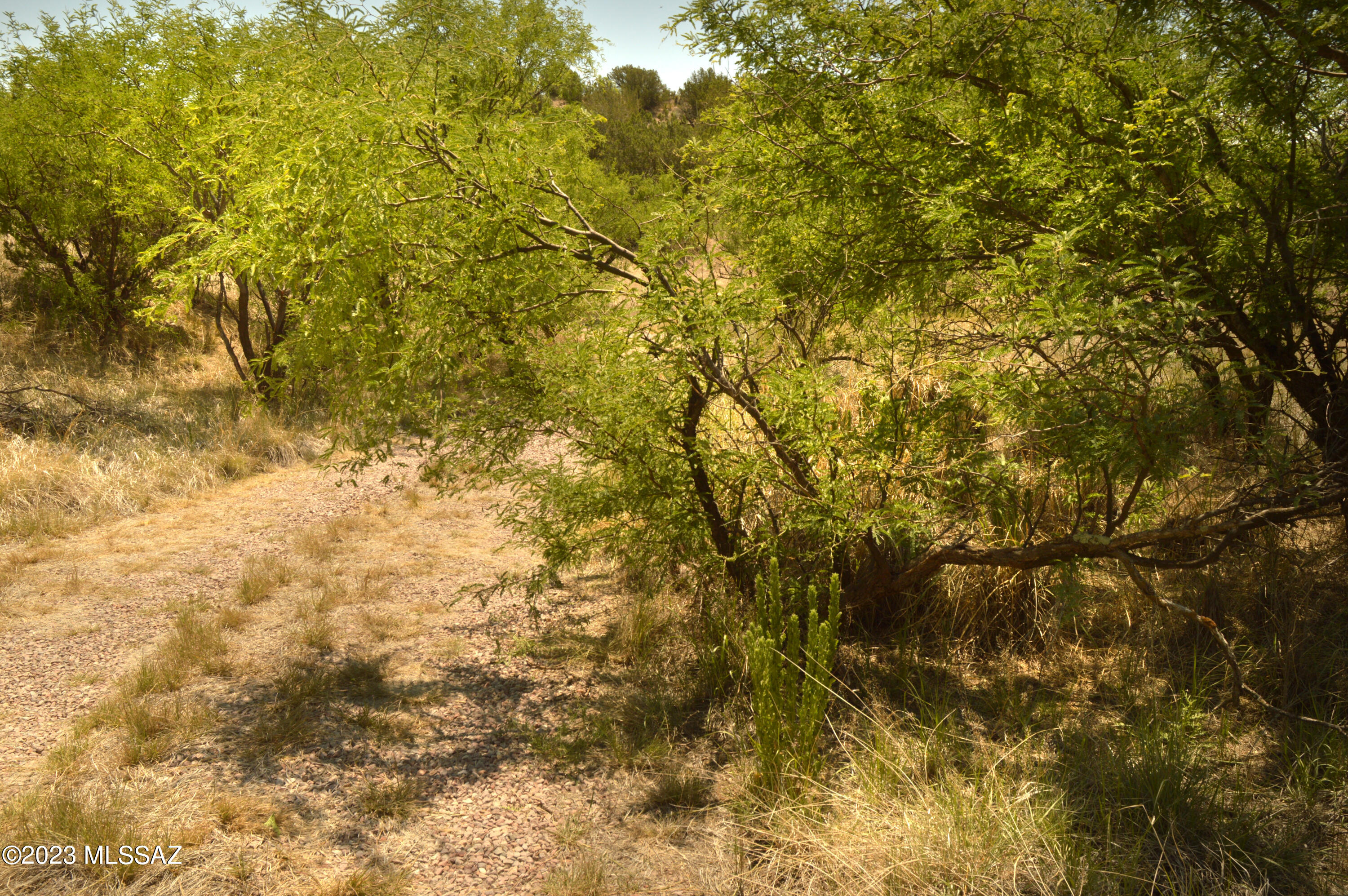 Three Canyons - Land