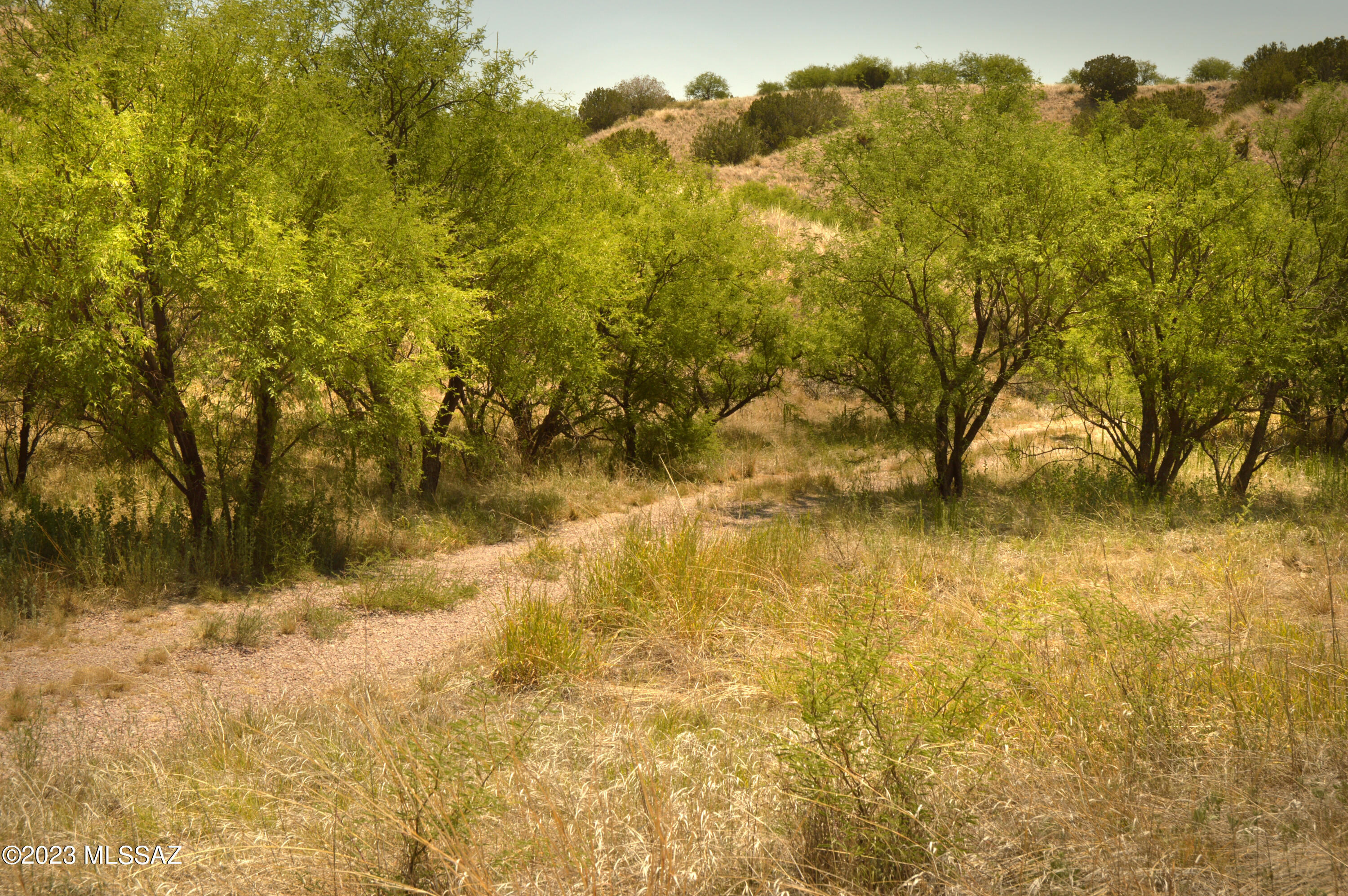 Three Canyons - Land
