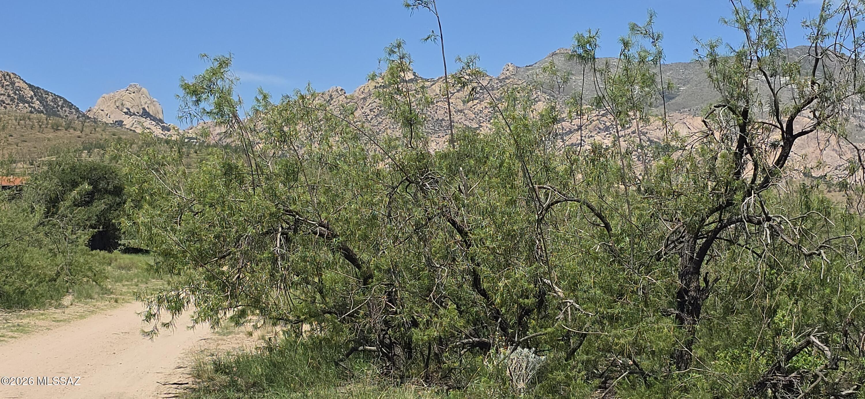 Four contiguous lots offered together for just $35,000!
This is an incredible opportunity to own a prime homesite in one of Pearce's most sought-after locations, just off Palm Road and Lehigh St., surrounded by beautiful custom homes.
Enjoy spectacular views of the Cochise Stronghold and the Dragoon Mountains while building your dream home with room to spread out. Ride horseback or ATV directly from your property into the Dragoon Mountains and nearby State Land, where endless outdoor adventure awaits.
Experience the peace and beauty of rural Arizona with dark, star-filled skies, no streetlights, and the charm of small-town living. Just minutes away, Sunsites offers shopping, restaurants,  and other everyday conveniences. The area is also known for world-class rock climbing, exceptional birding, scenic hiking, and nearby Arizona wineries.
At just $35,000 for all four lots, this is an outstanding value in a highly desirable area. Opportunities like this are rare--don't miss your chance to own a piece of Arizona's high desert paradise before it's gone!