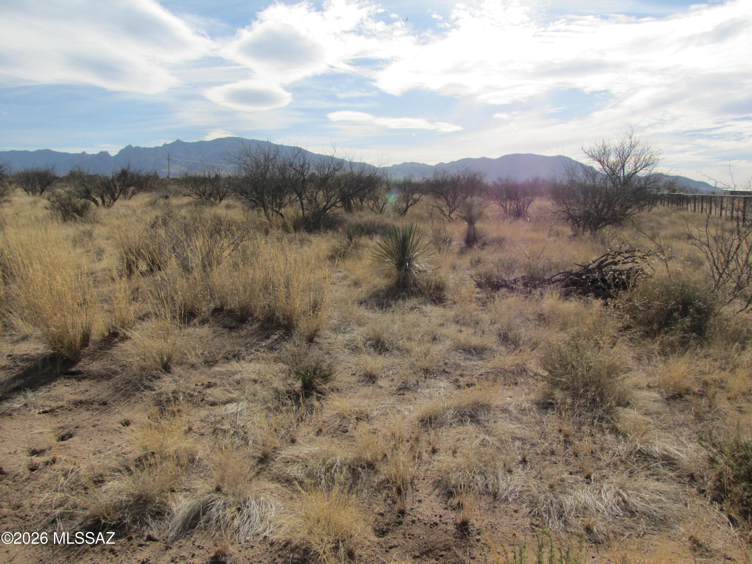 Ten acres with mountain views, 1/5 wellshare,, County maintained paved road on south side of property, fenced on 2 sides and State land to the west. Electric is located across the road. Bring in or build your dream home today! Easy access to Hwy 191 and I-10.