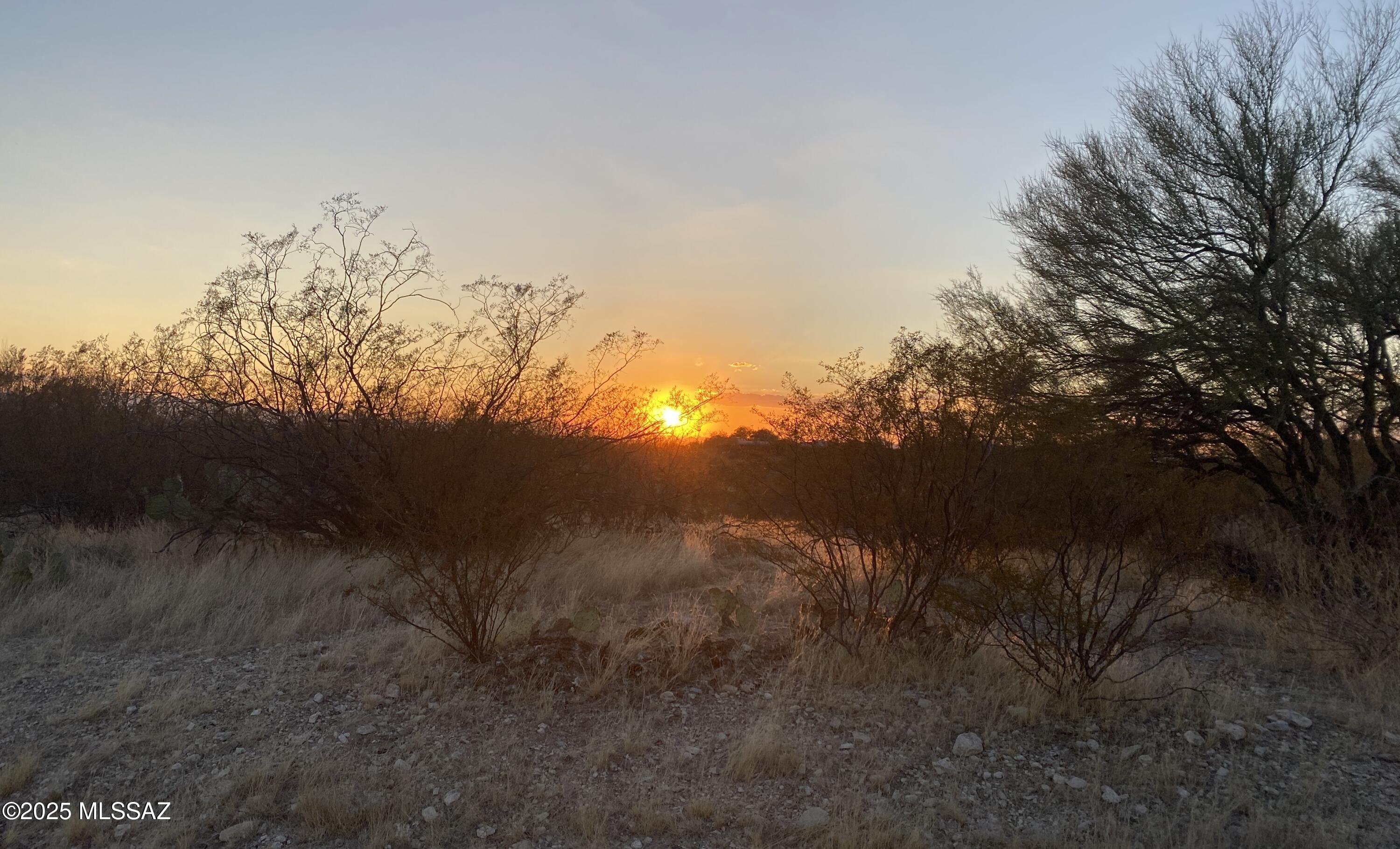 Saguaro Monument Estates - Land