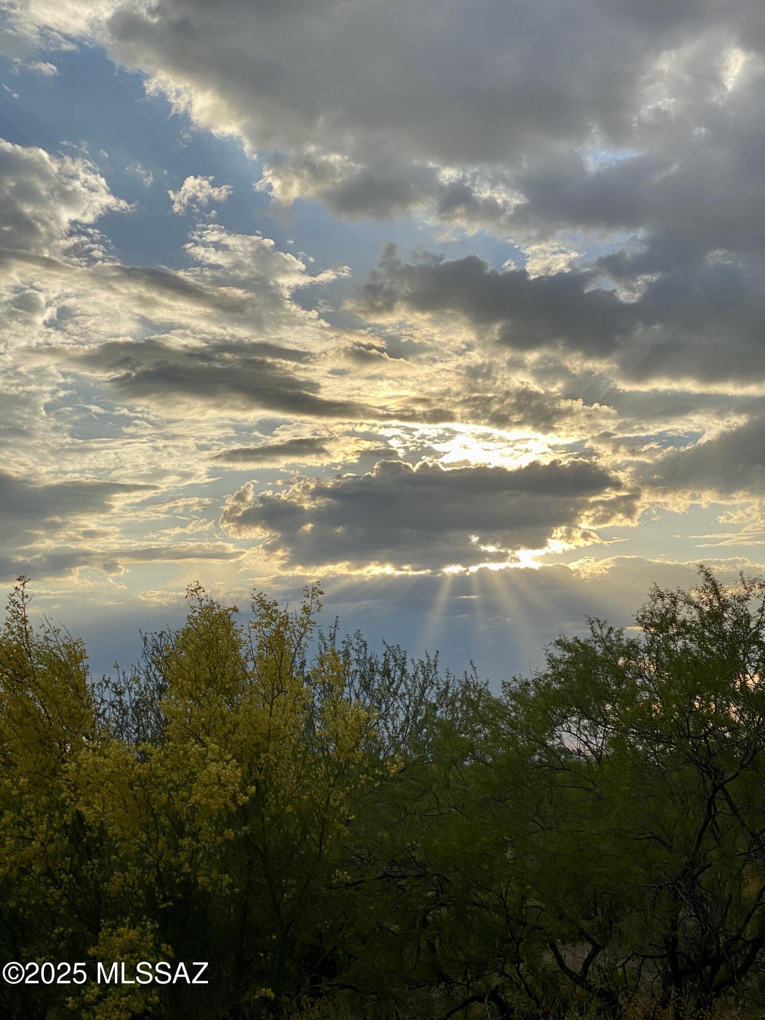 Saguaro Monument Estates - Land