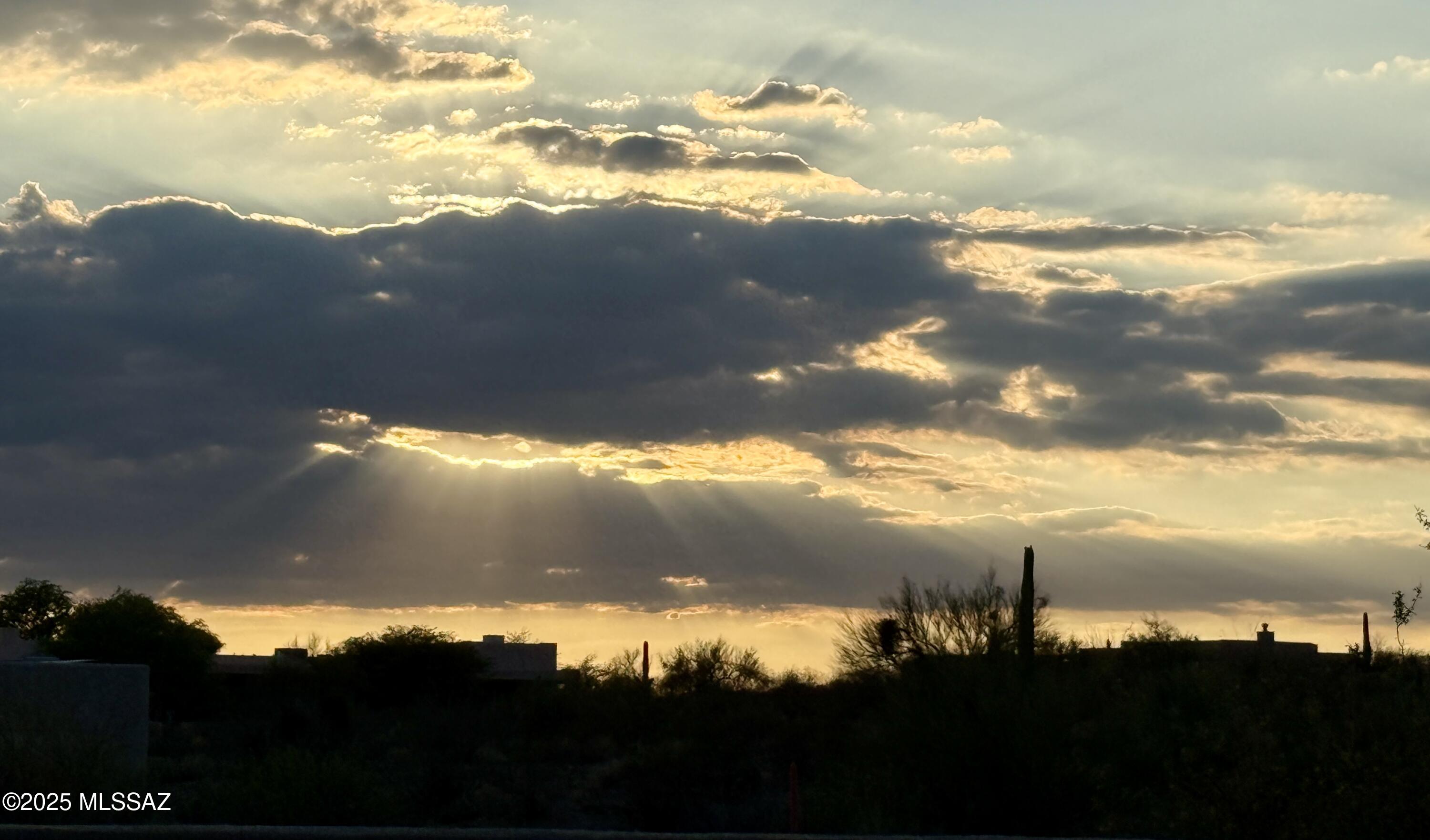 Saguaro Monument Estates - Land