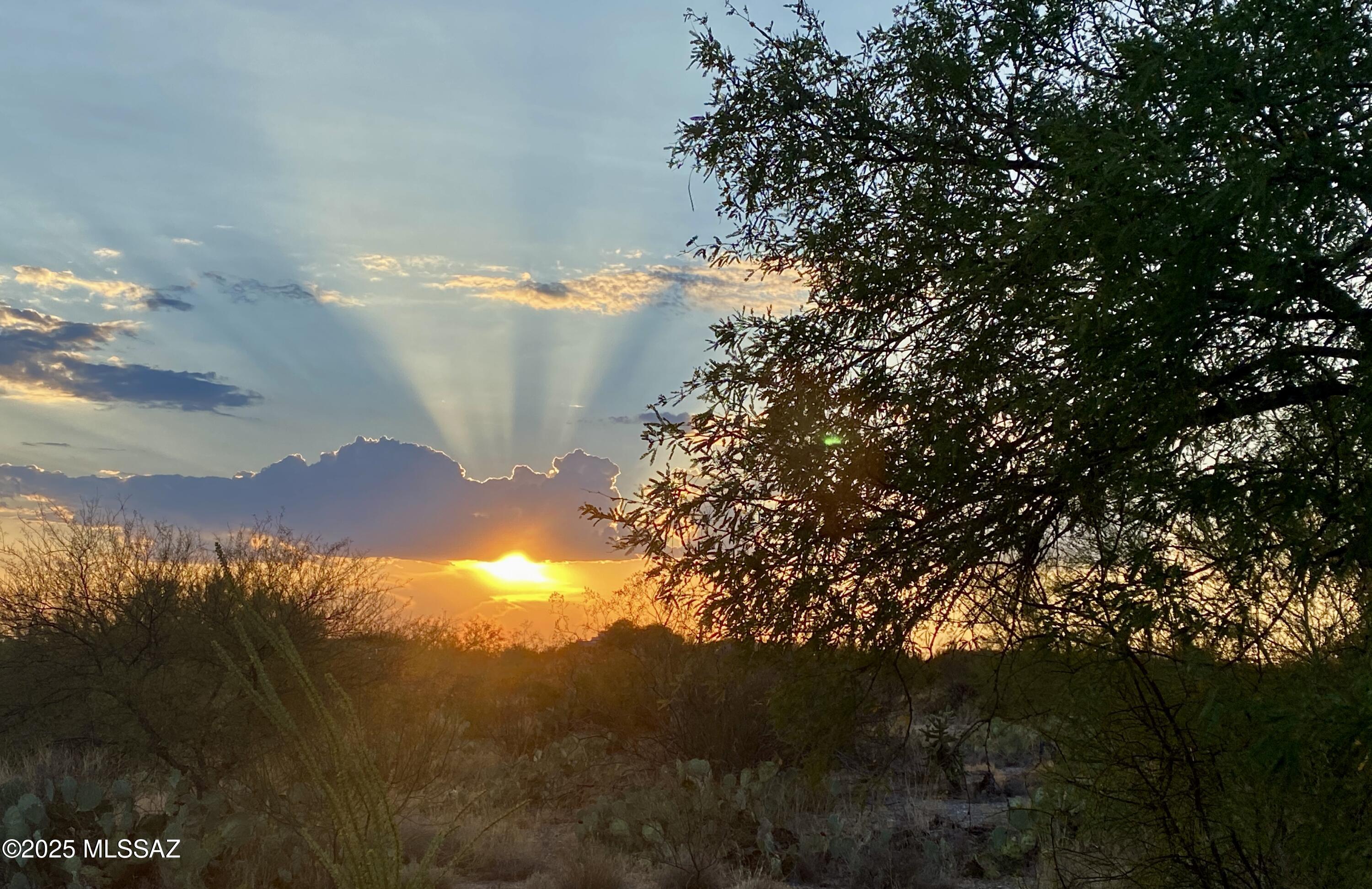 Saguaro Monument Estates - Land