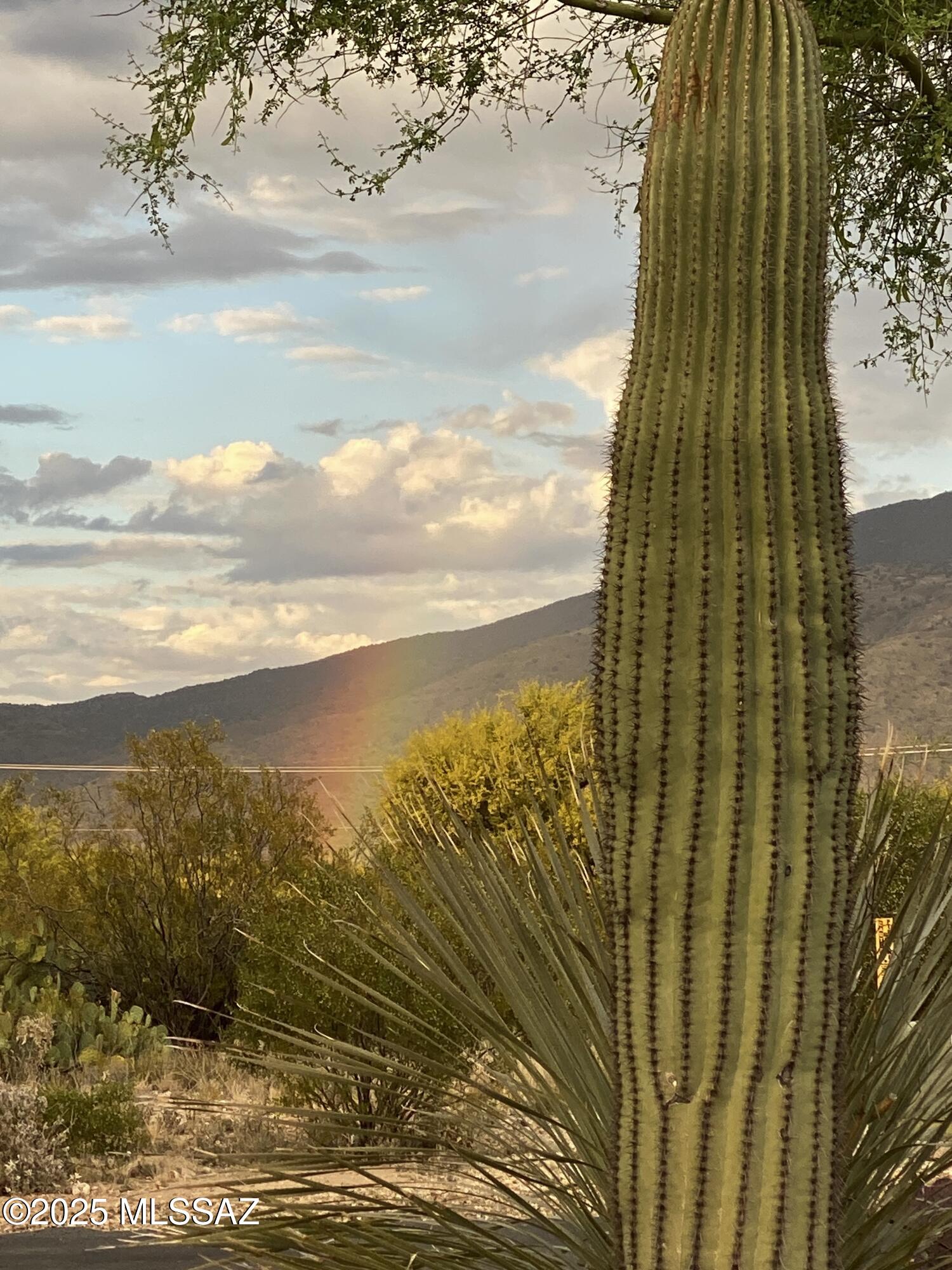 Saguaro Monument Estates - Land