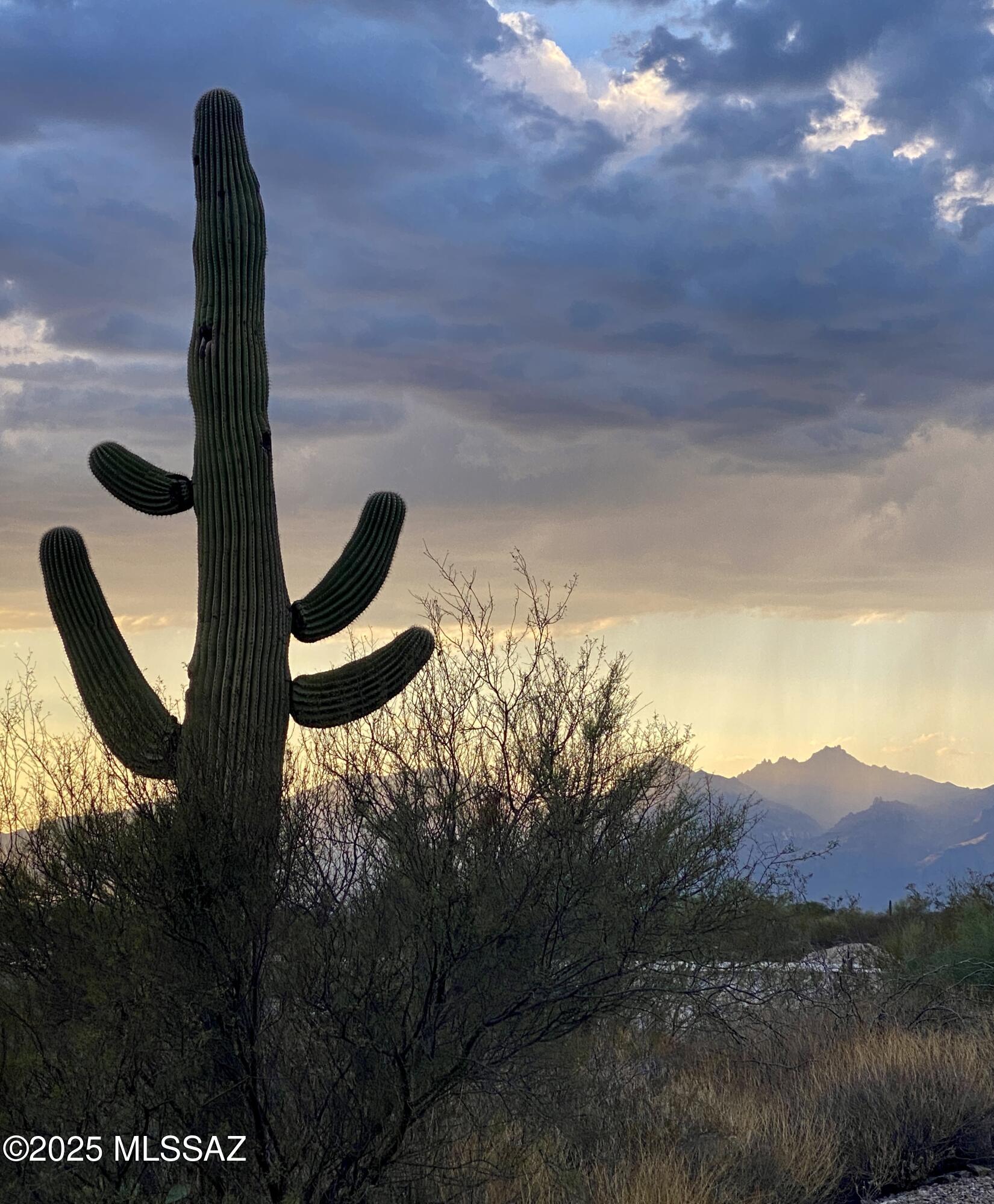 Saguaro Monument Estates - Land