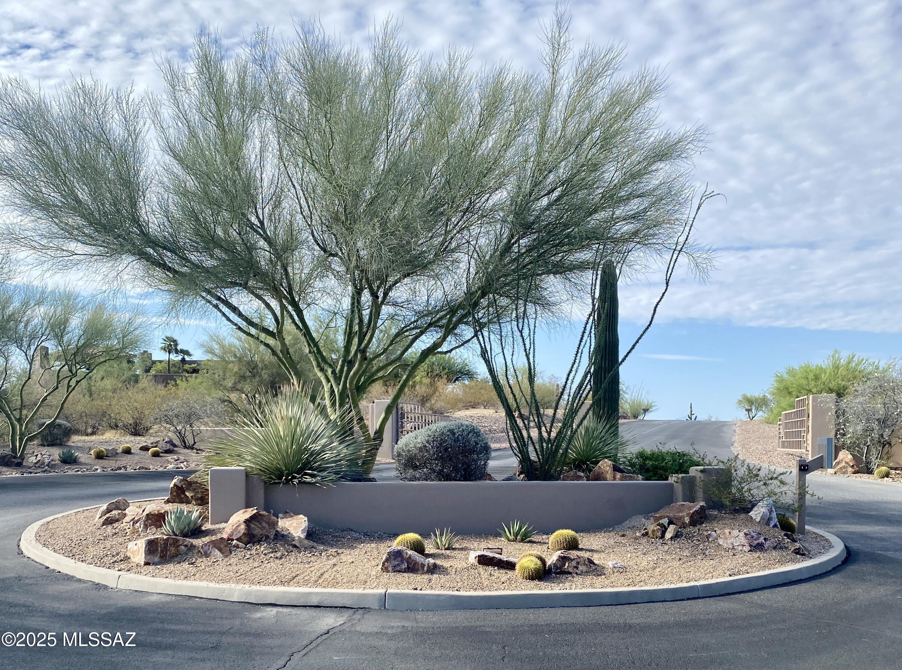 Saguaro Monument Estates - Land