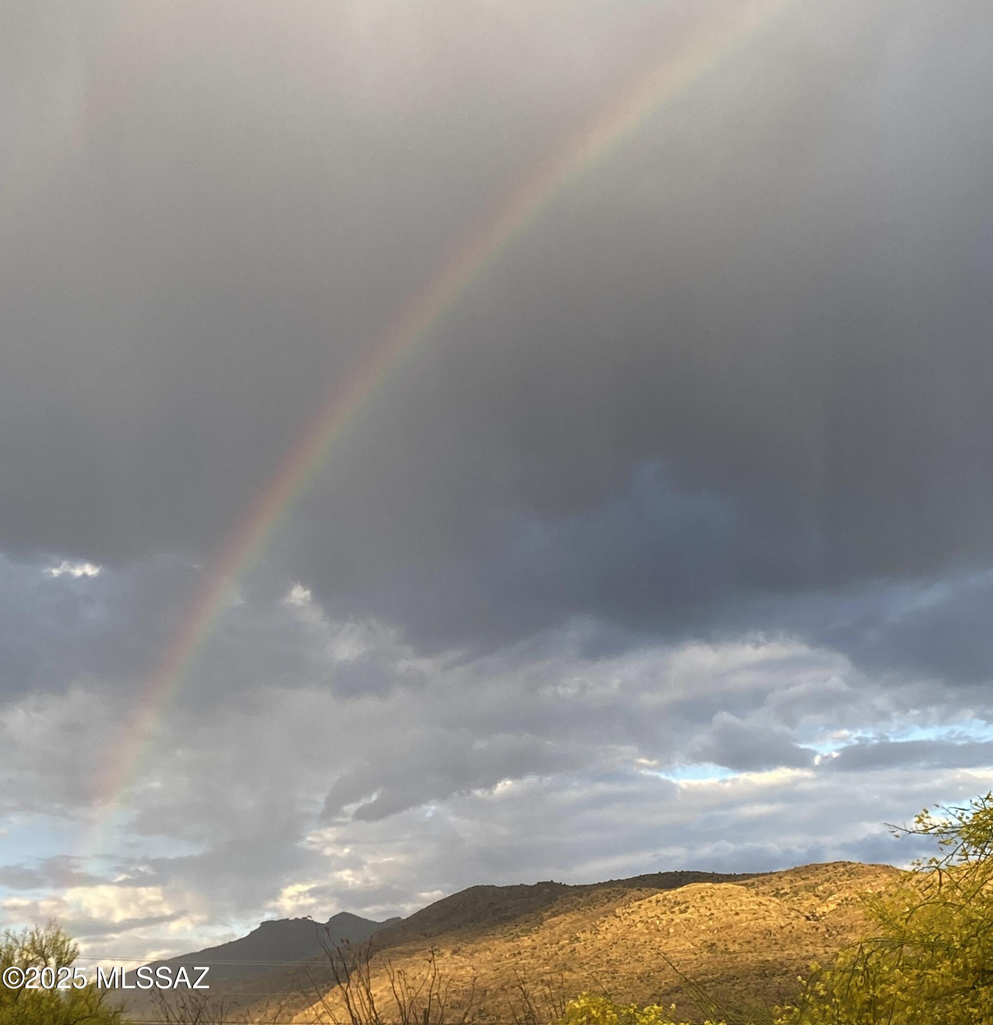 Saguaro Monument Estates - Land