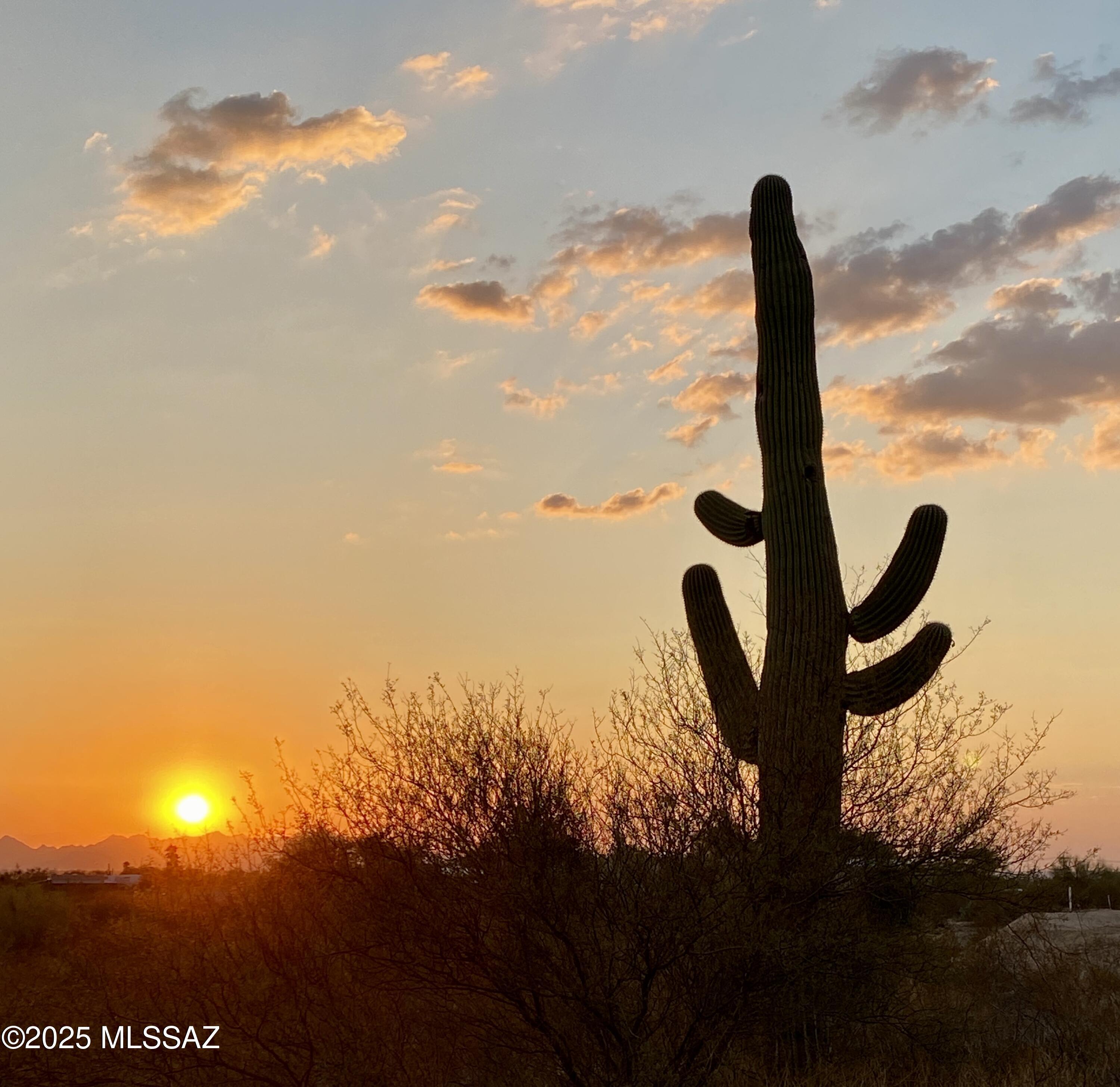 Saguaro Monument Estates - Land