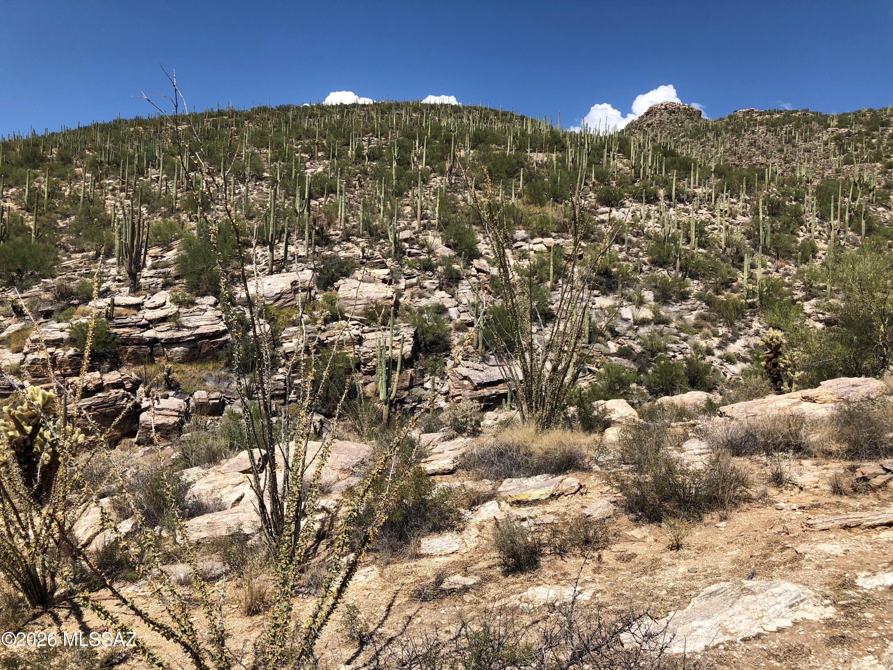 Milagrosa Hills (1-61) - Land