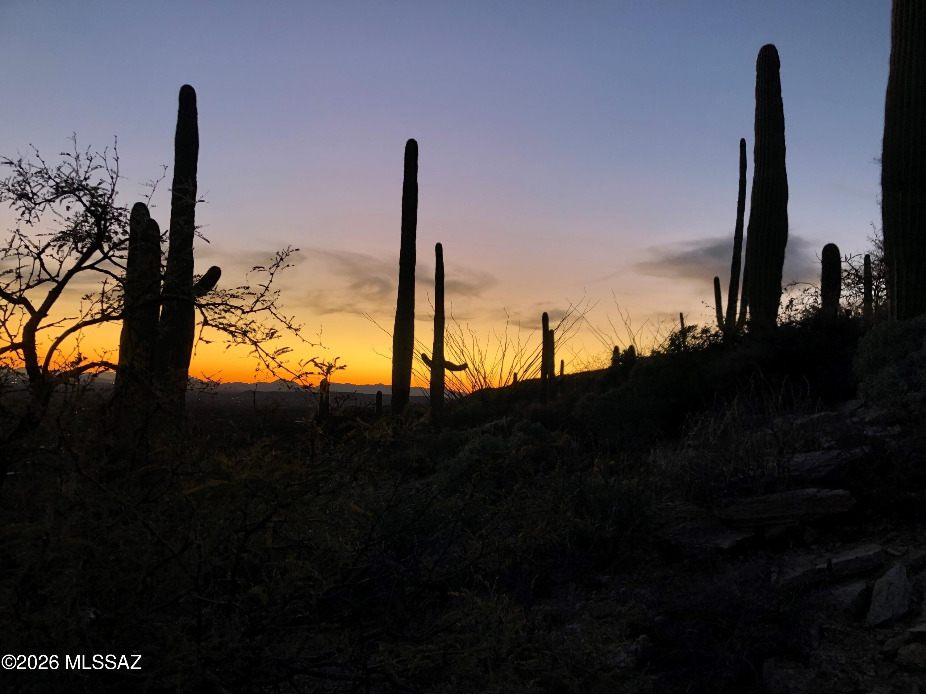 Milagrosa Hills (1-61) - Land