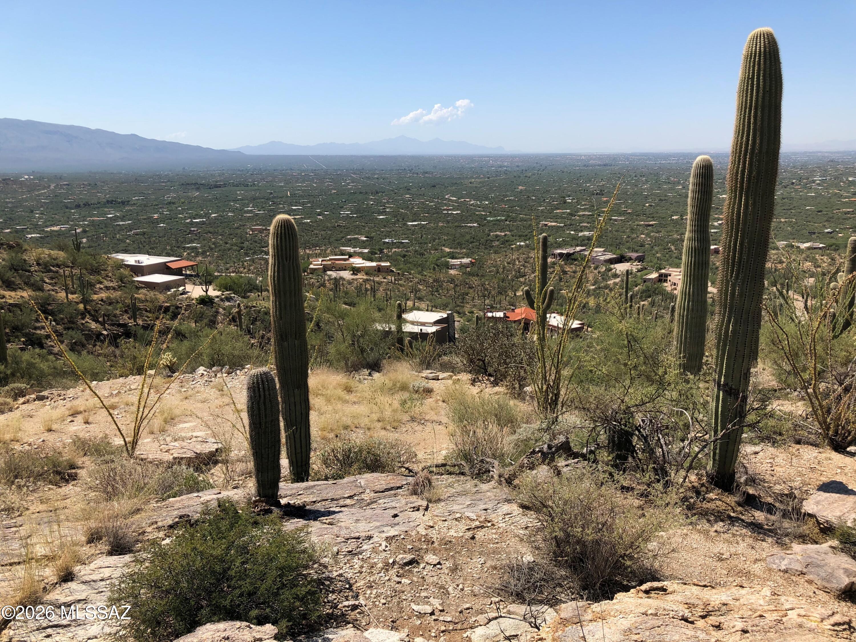 Milagrosa Hills (1-61) - Land