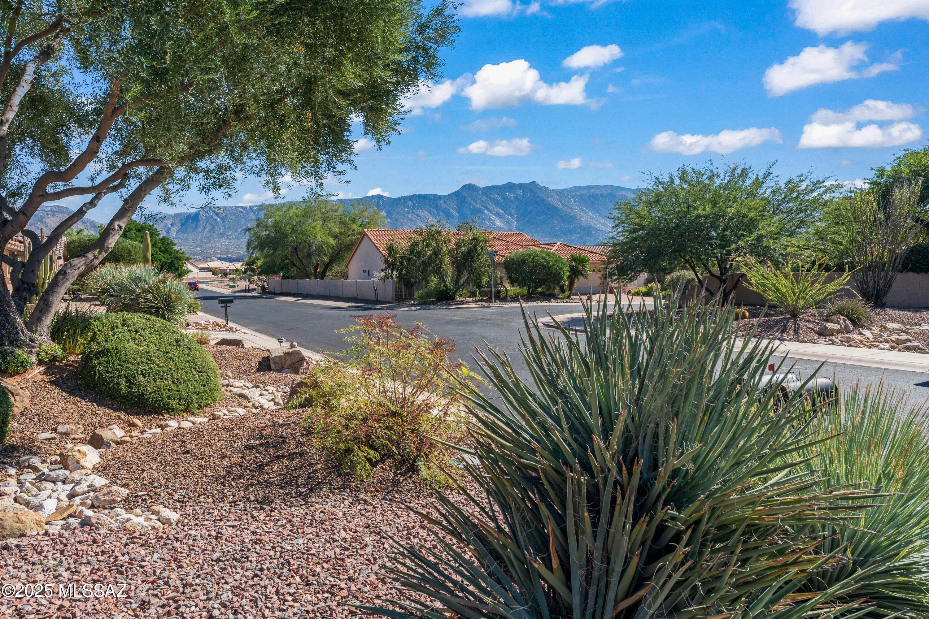 Saddlebrooke - Residential
