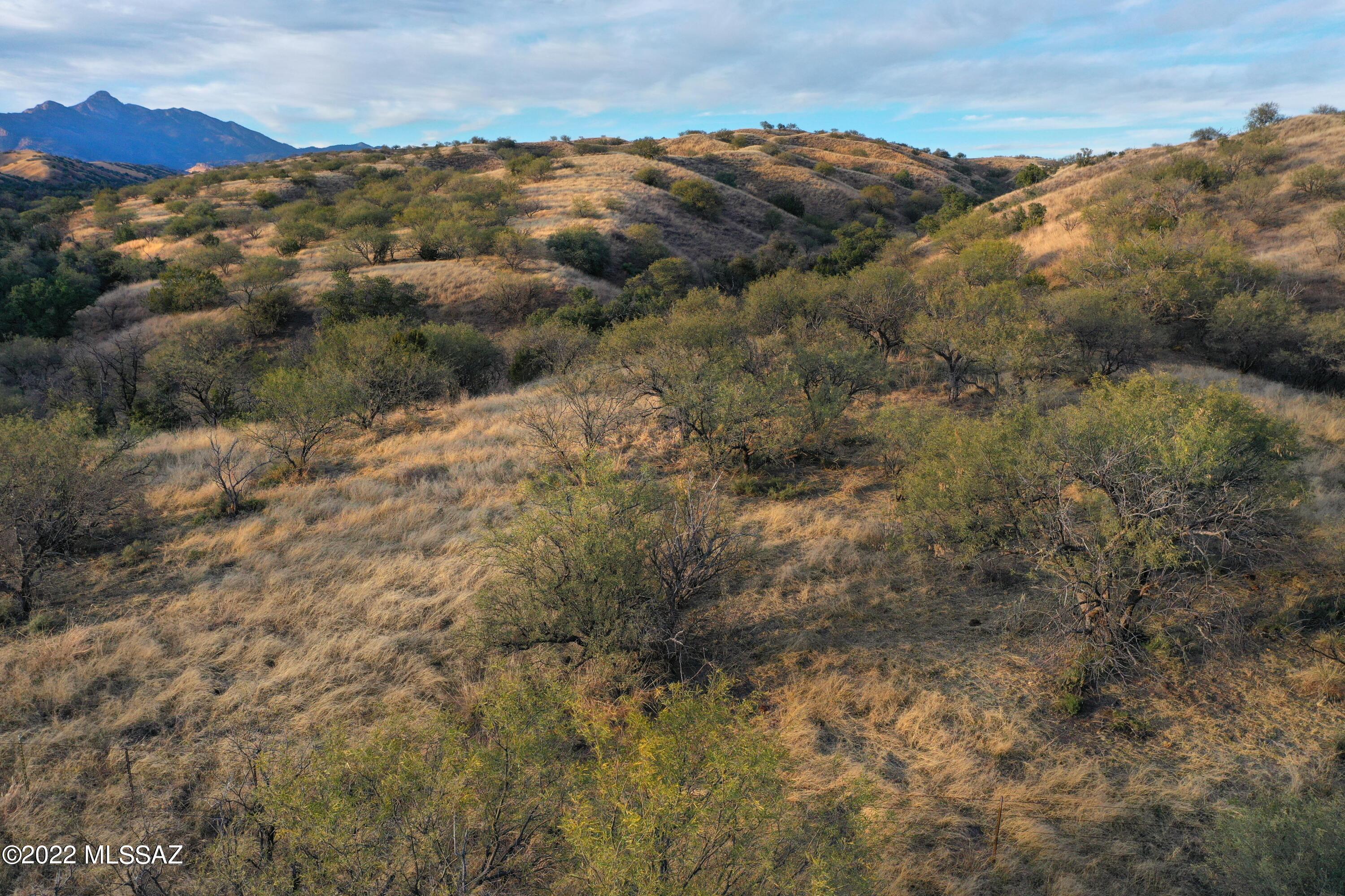 Three Canyon Estates is an environmentally thoughtful development design in the heart of Southern Arizona's Sky Islands.  Recognized by the National Association of Counties for best practices in sustainable  projects and programs, the development was designed to protect the land and wildlife, while providing an exceptional community lifestyle for residents.  This very special parcel within Three Canyons is beautifully set for incomparable mountain views of the Santa Ritas, Patagonias & Canelo Hills.  Each lot has described building envelopes. Land outside the envelope remains in conservation easement.  If you are longing for tranquility, moderate temperatures, nearby recreational activities, & spectacular star filled night skies