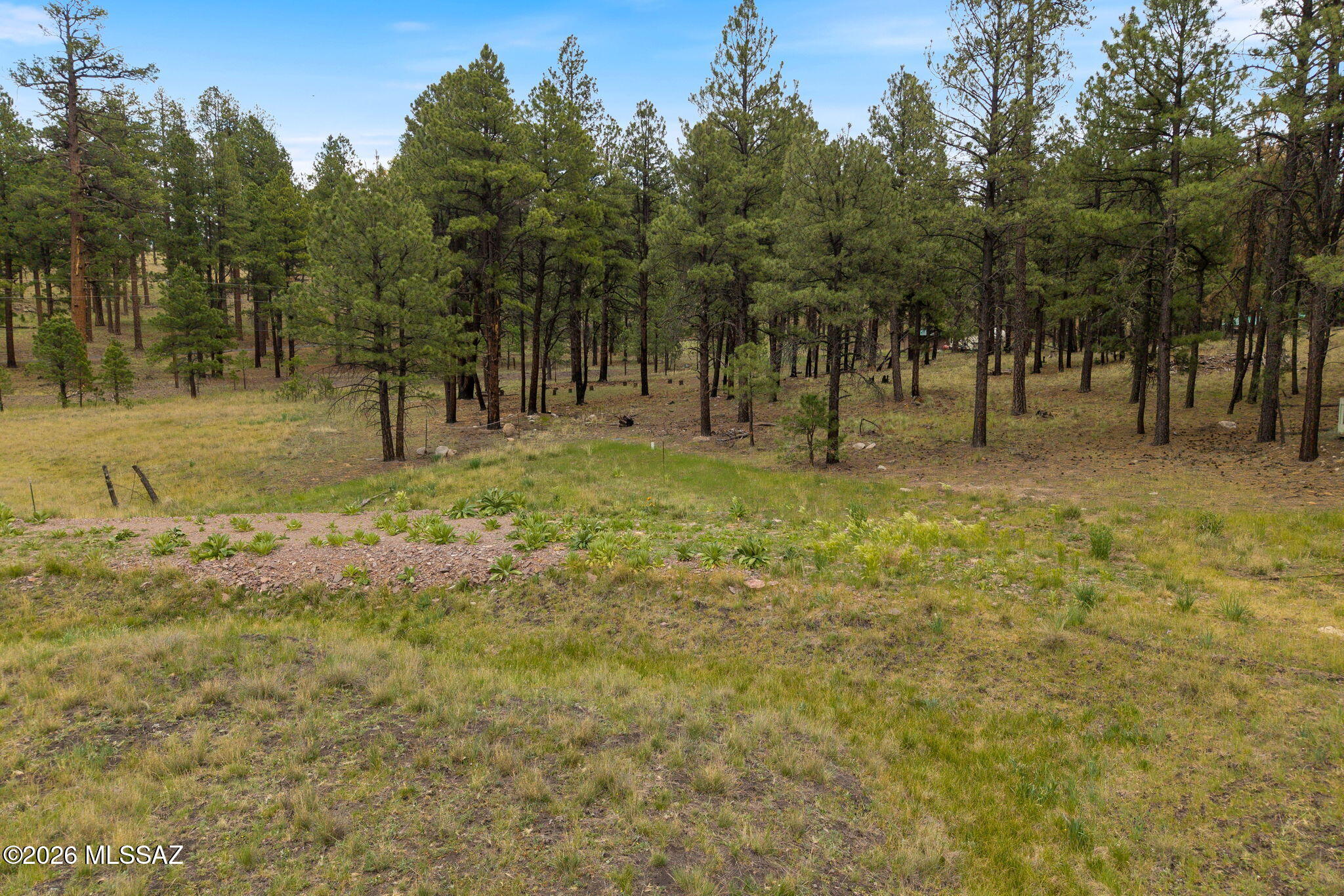 Ready to enjoy from day one! This 1.70-acre Alpine property offers improvements that are difficult and costly to replicate, including
water service, an installed septic system connected to the Alpine sanitary sewer system, and RV hookups already in place. Bring your RV today or start
planning your dream cabin in Arizona's White Mountains. With ample space, beautiful surroundings, and flexible use options, this property provides
exceptional value and a head start on building your mountain getaway. Enjoy cool summers, abundant wildlife, fishing, hiking, and all the outdoor
recreation Alpine is known for.