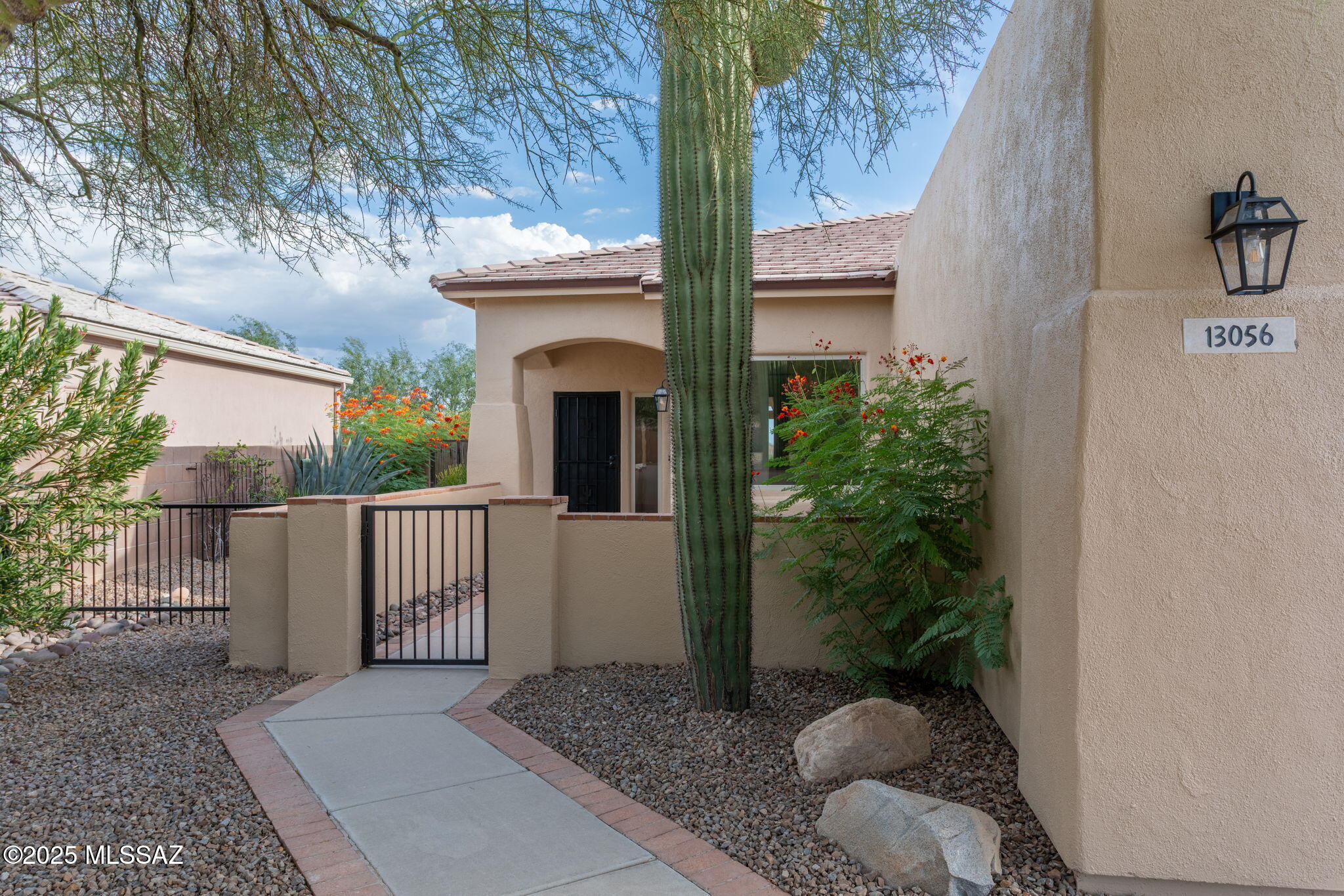 Bluffs At Dove Mountain (1-122) - Residential