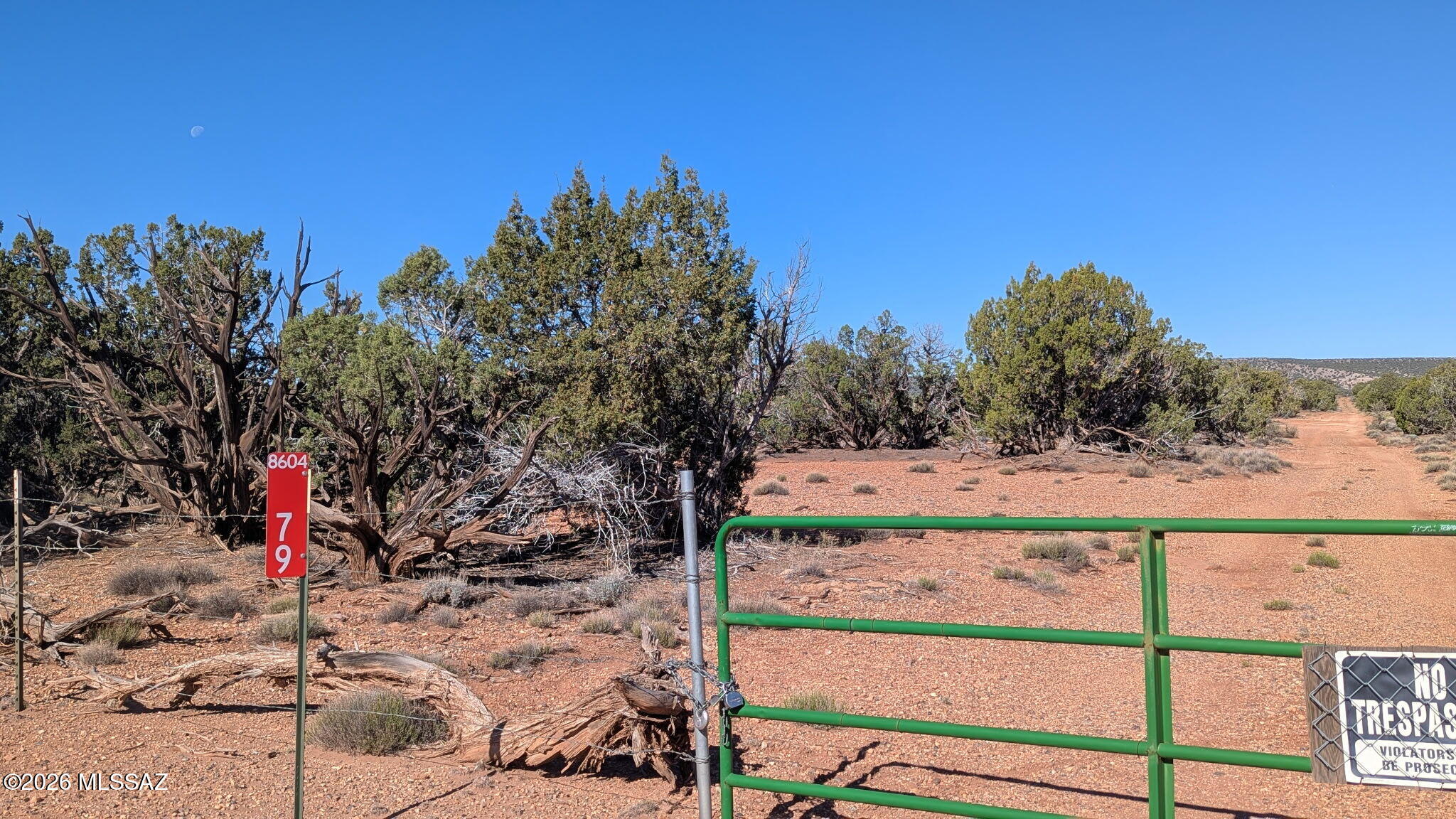 Out Of Pima County - Land
