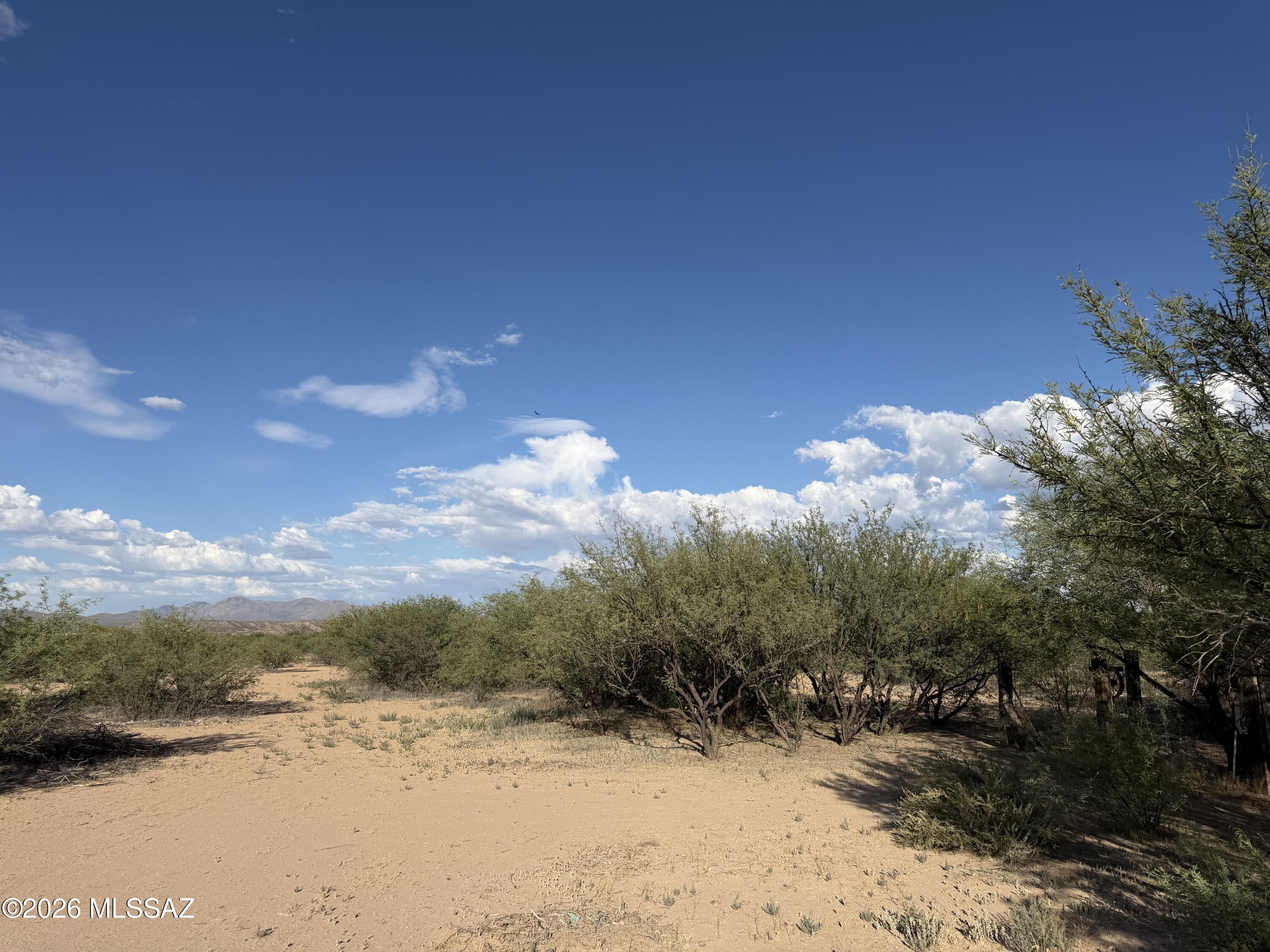Build your Arizona dream on this level lot in Benson! Conveniently located with water and electricity available nearby, this property offers an excellent opportunity for a custom home, or investment. Enjoy beautiful mountain views, easy access from paved roads, and the peaceful surroundings of Cochise County while still being just minutes from shopping, dining, and everyday conveniences in Benson. Whether you're looking for a full-time residence, a weekend retreat, or a future investment, this property offers the perfect blend of accessibility, scenic beauty, and potential.