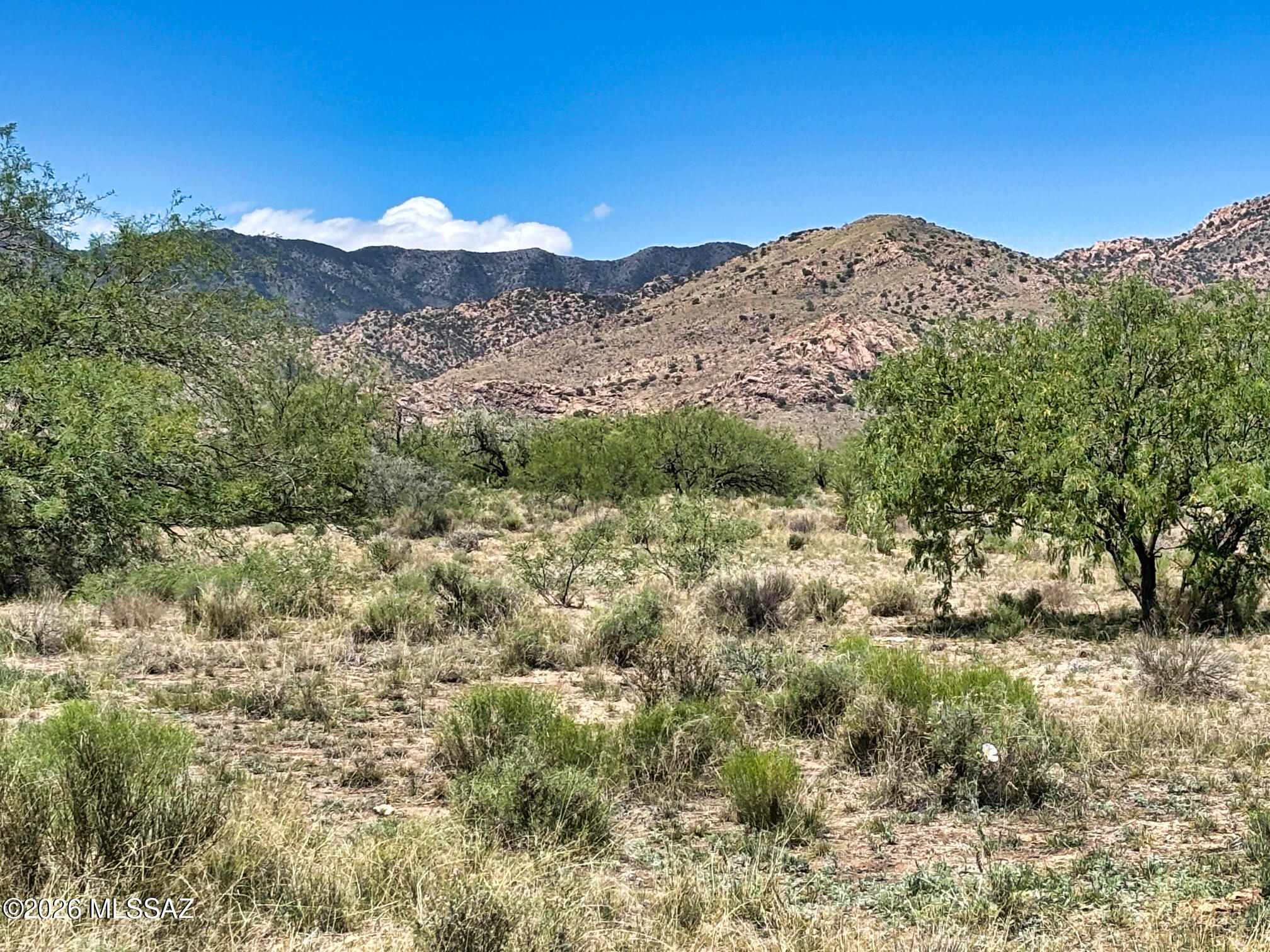 .83 Acre Parcel. Power nearby at neighboring homes. Will need a septic system installed. Drill a well or install holding tanks and have water delivered. Tiny home are OK if they are frame built. Goes by Cochise County Zoning regs for SR-22. NO trailers or MFH. Nice Mountain views. Lots of privacy. Not too far from town. Use Regrid or Landglide app to locate parcel and corners more precisely by putting in tax parcel