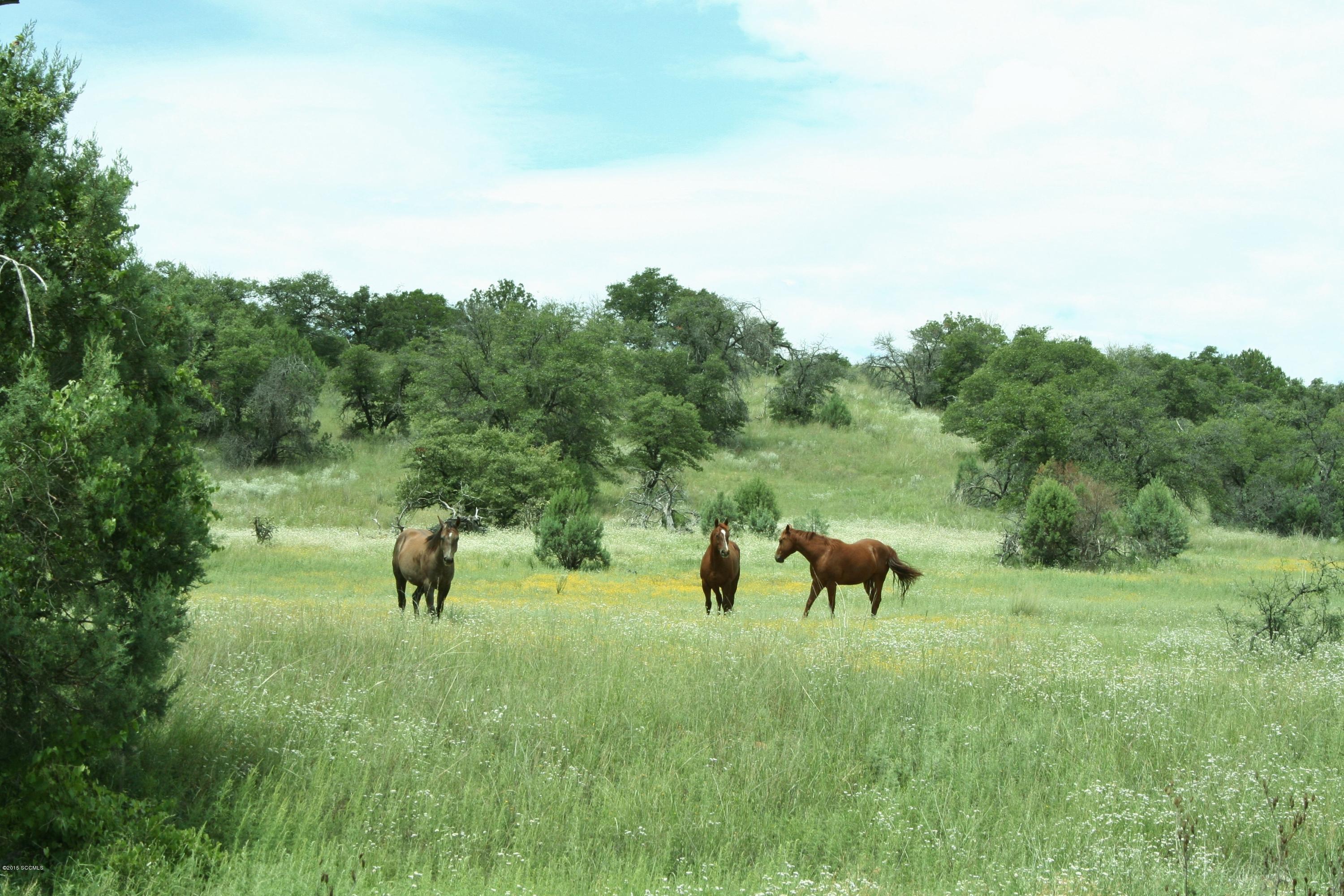 Unsubdivided - Farm