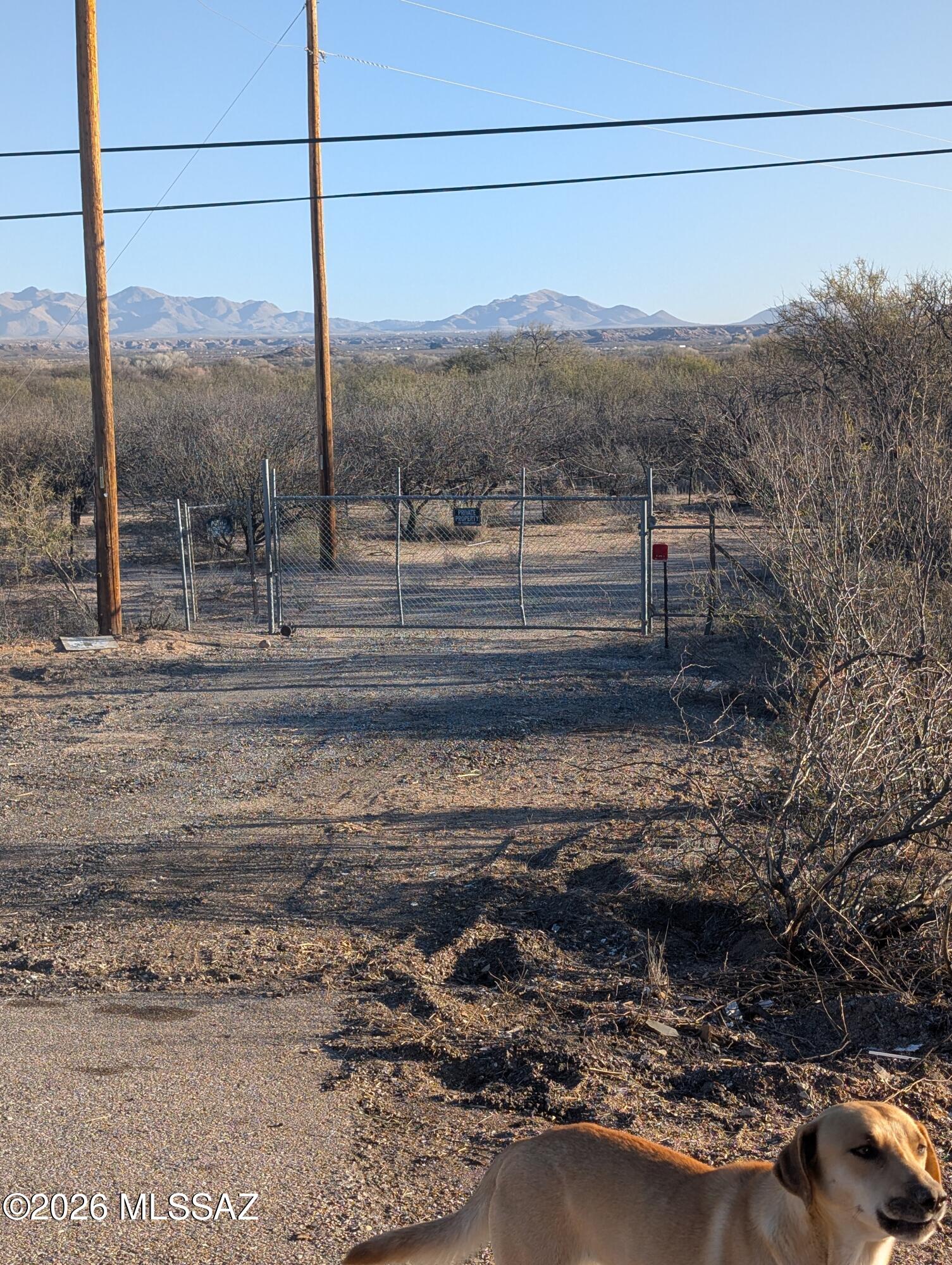 Just over 14 acres of wide‑open Arizona beauty in peaceful St. David, only minutes from shopping, dining and schools. This versatile parcel offers electric service, a 50% shared well, and onsite storage, making it an ideal foundation for your future home, ranch or getaway. Enjoy stunning views, quiet surroundings and easy access to town while still embracing the freedom of rural living.