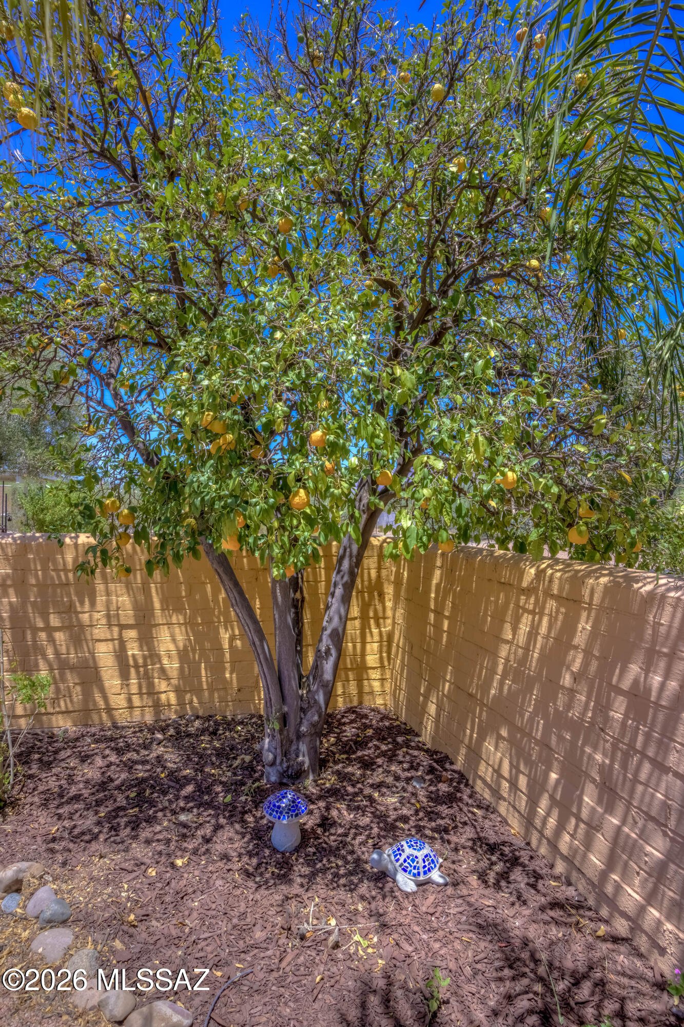 Catalina Poultry Acres NO 3 - Residential