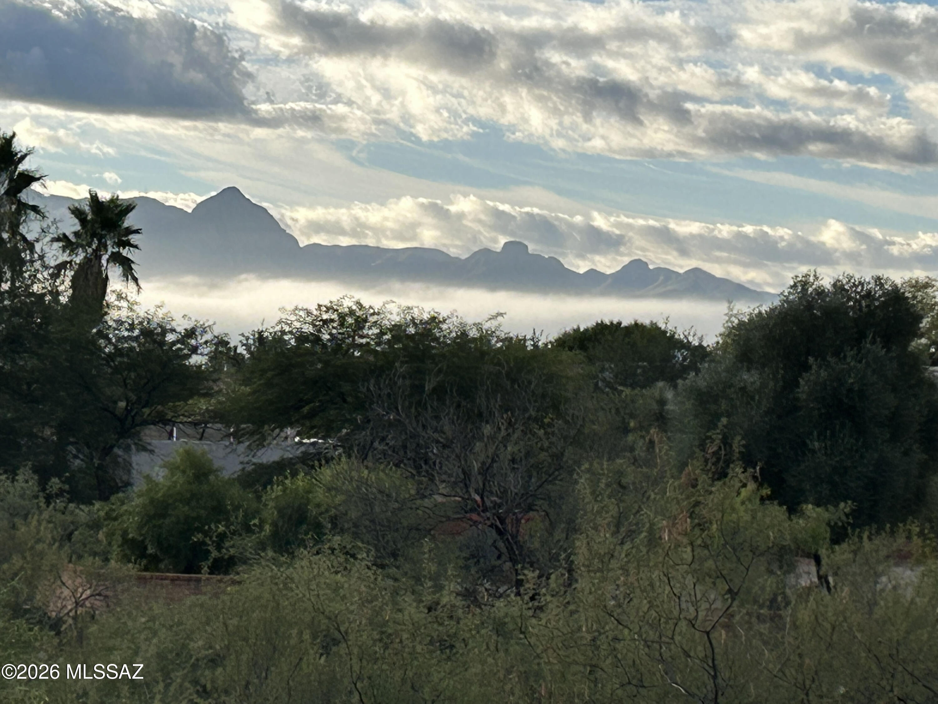 Continental Vistas(1-302) - Residential