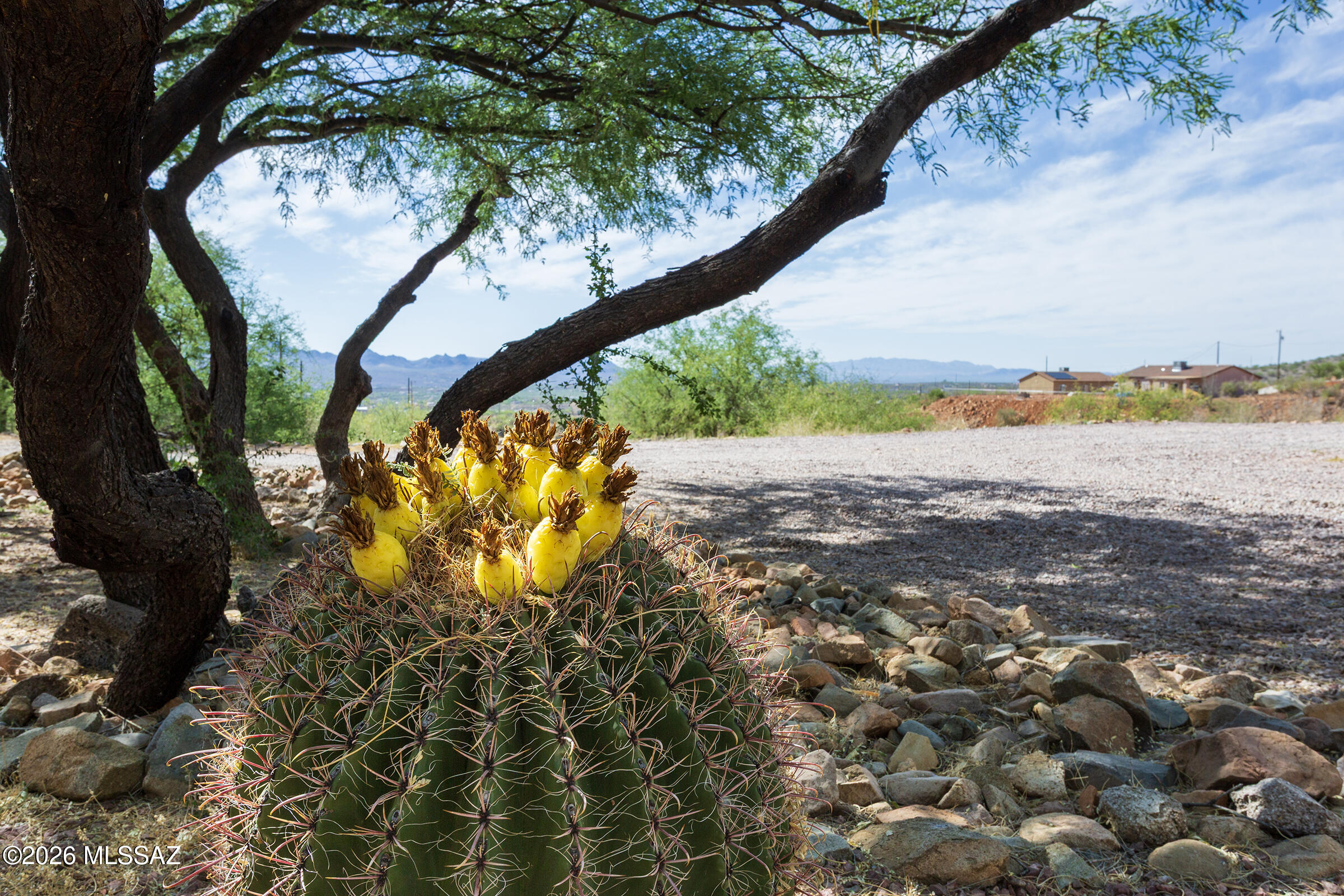 Rio Rico Ranchettes 17 - Residential Lease
