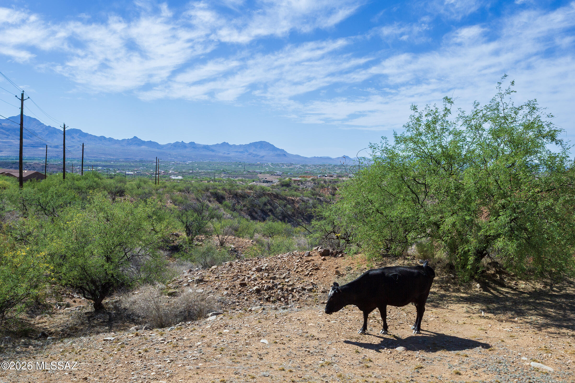 Rio Rico Ranchettes 17 - Residential Lease
