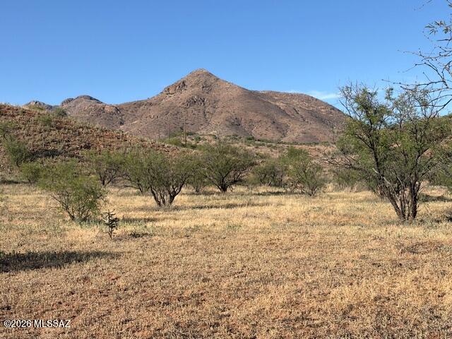 Above the Santa Cruz River Valley, central East Rio Rico, 1.34 acre vacant land lot featuring level terrain and scenic Mt. San Cayetano views. Spacious lot offers open land, privacy, and potential for horse property, subject to county approval or variance.
Buyer to independently verify zoning, potential horse property eligibility, availability and location of utilities, and all associated costs, including water, sewer or septic, electric, gas, and internet, to ensure suitability for intended use.