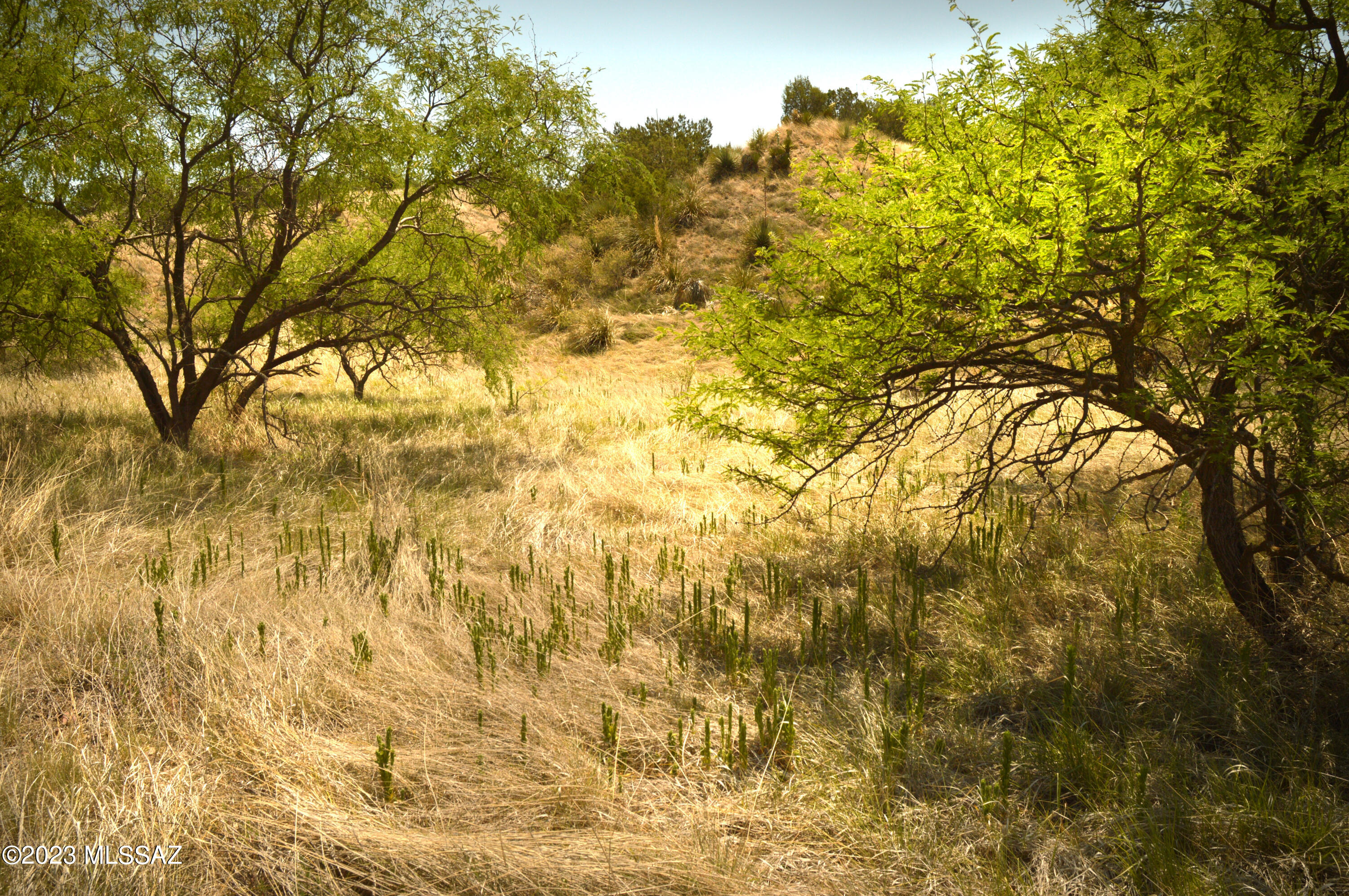 WILDLIFE CORRIDORS is an environmentally thoughtful development in the heart of Southern AZ's Sky Islands. Recognized by the Natl Assoc. of Counties For Best Practices In Sustainable Projects & Programs, Wildlife Haven was designed to protect the land & wildlife while providing an exceptional community lifestyle for its residents. Each parcel has a predetermined building location/pad that is cushioned within a conservation easement, the land will continue to sustain the natural wildlife corridor & migratory bird pathway. If you are longing for tranquility, moderate temperatures, nearby recreational activities, & star-filled night skies, you will appreciate this special development. See: BorderlandsRestoration.org for more information.