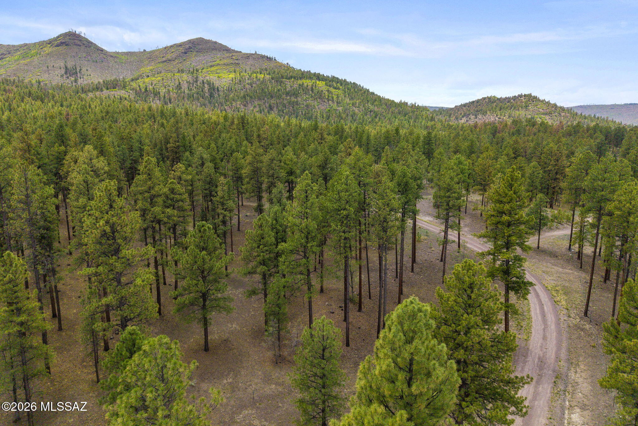Out Of Pima County - Land