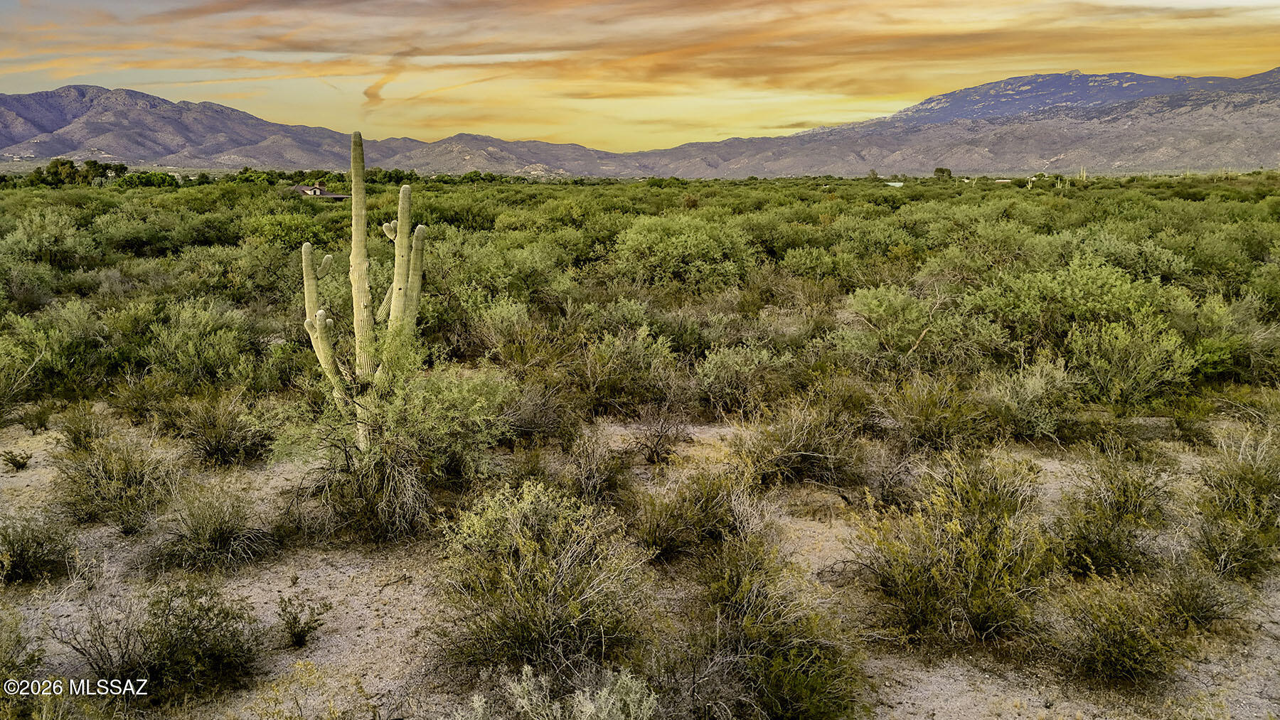 Rare find in the Tanque Verde Valley! This expansive flat five-acre parcel offers a stunning desert landscape, breathtaking views of both the Santa Catalinas and Rincon Mountain ranges and gorgeous sunrises & sunsets.  This magical realm showcases majestic saguaros, lush native desert flora and fauna, mesquite trees, natural wildlife and star-filled night skies providing a perfect blend of peaceful serenity, space, privacy and accessibility. Located just minutes from Forty-Niner Country Club for golf, swimming, exercise & social activities and the Saguaro National Park where you can enjoy some of Tucson's best hiking and biking trails. No HOA/CC&Rs and Horses Allowed. Come today and immerse yourself in the beauty of the Sonoran Desert.