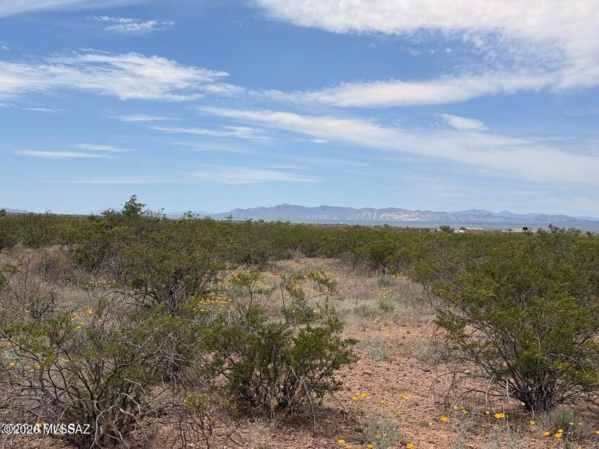 Out Of Pima County - Land