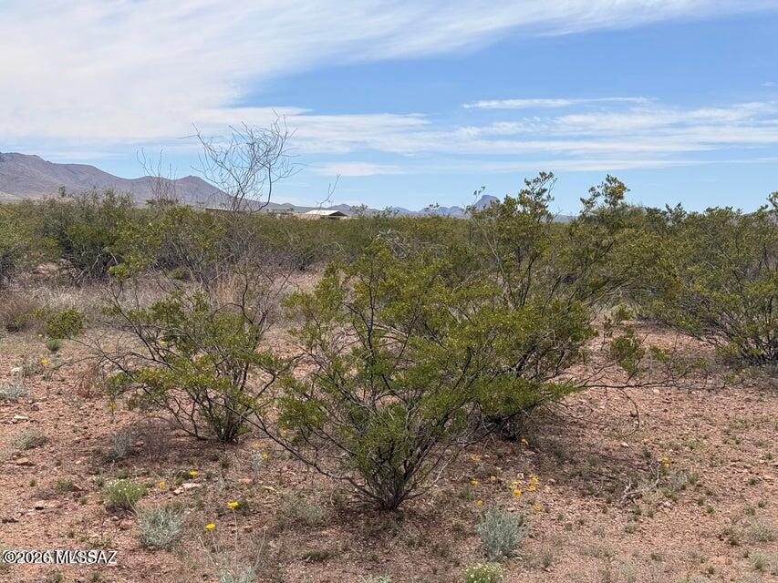 Out Of Pima County - Land
