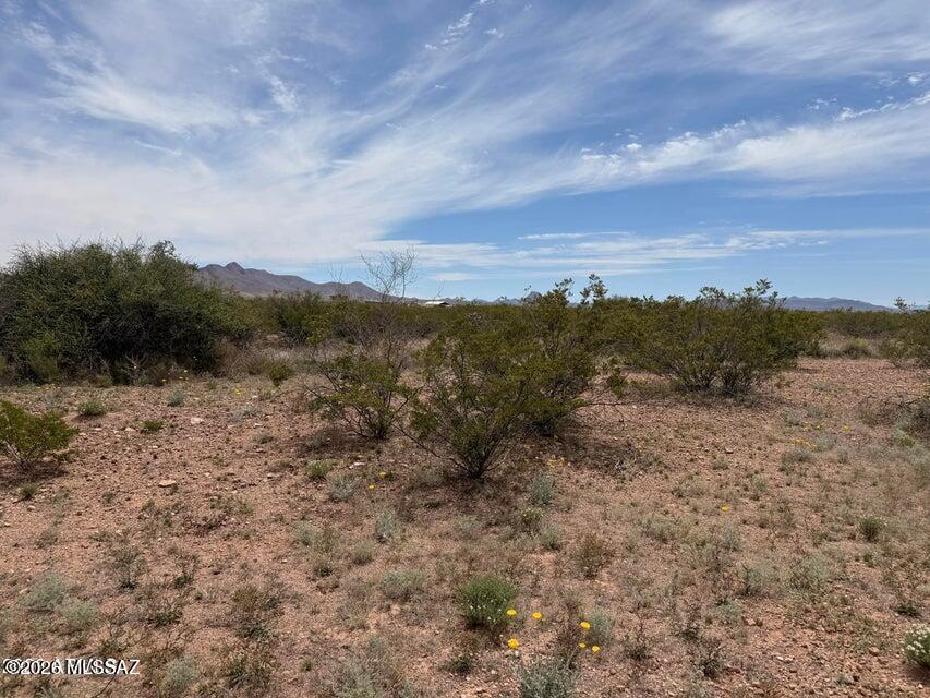 Out Of Pima County - Land