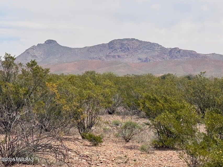 Out Of Pima County - Land