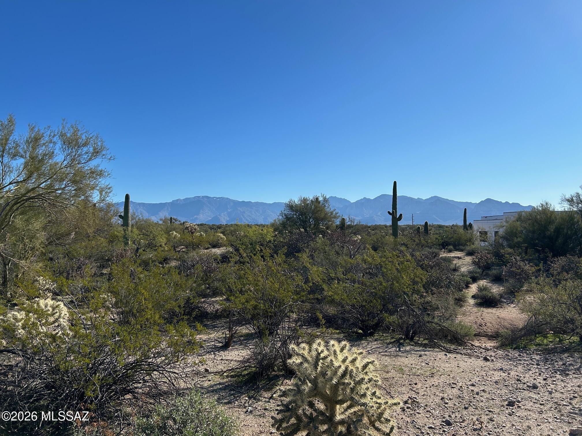 BEAUTIFUL VIEWS and VEGETATION from this level, 3.31 acre site near the base of the Tortolitas in sought after Marana, AZ.  Multi-million dollar neighboring homes set the neighborhood tone! You'll love the Saguaros, large Palo Verdes, Mesquites and assorted desert growth. Multiple home sites locations, all with great Catalina and Tortolita Mountain views. Underground water, electric, gas and phone service to the lot. Minutes to Oro Valley, I-10, and Twin Peaks Rd to Downtown Tucson. Close to shopping, hospitals, restaurants, golf and wonderful outdoor recreations. Walk this one and BE IMPRESSED!