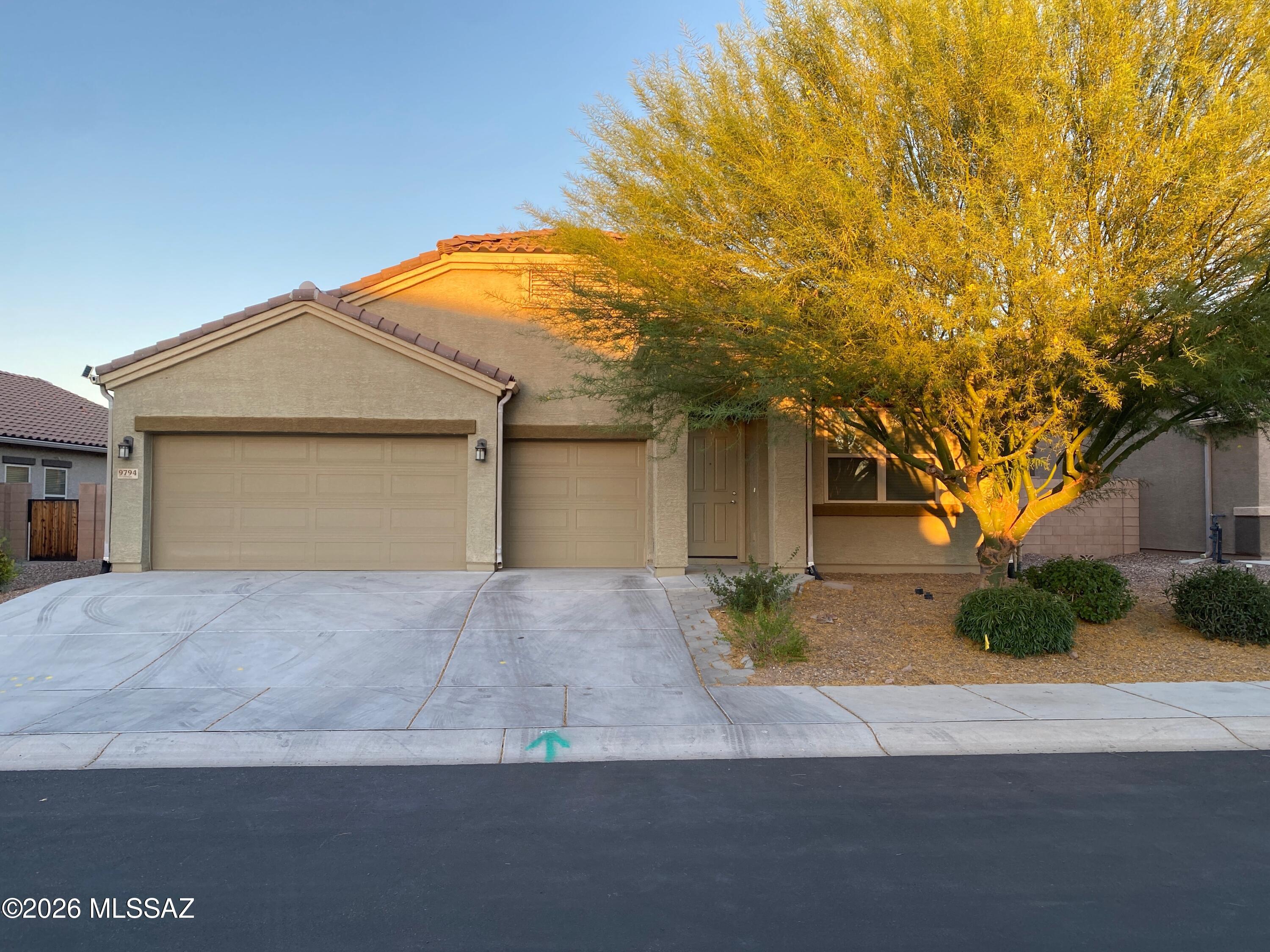 Saguaro Bloom 7A - Residential