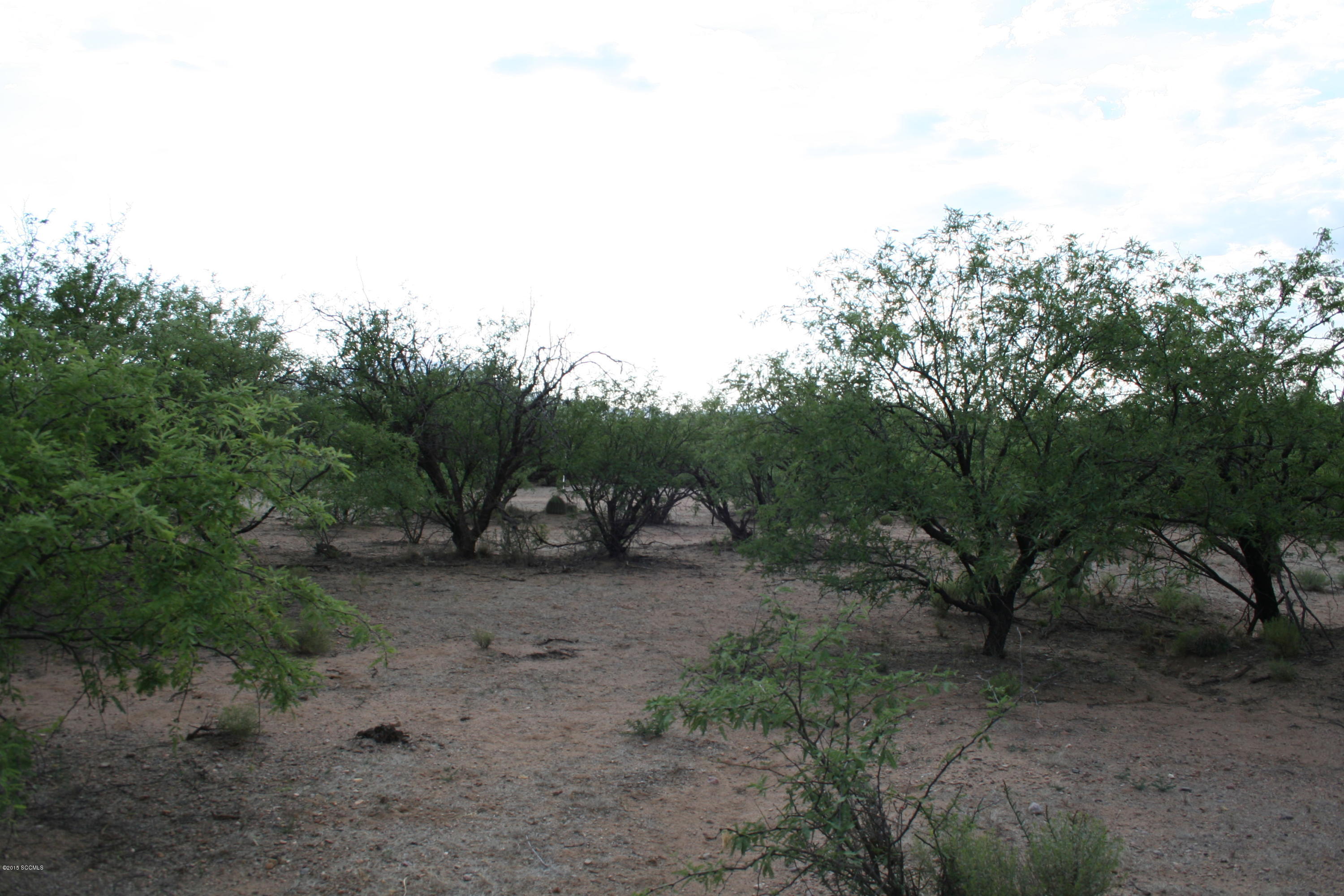 Agua Caliente Ranch Estates (1-46) - Land