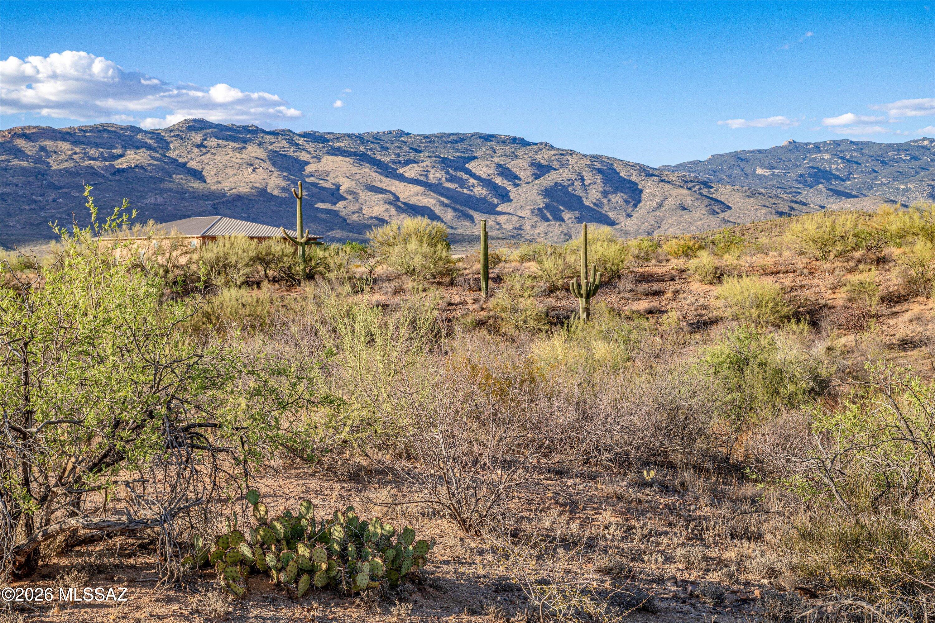 Coyote Creek II - Land