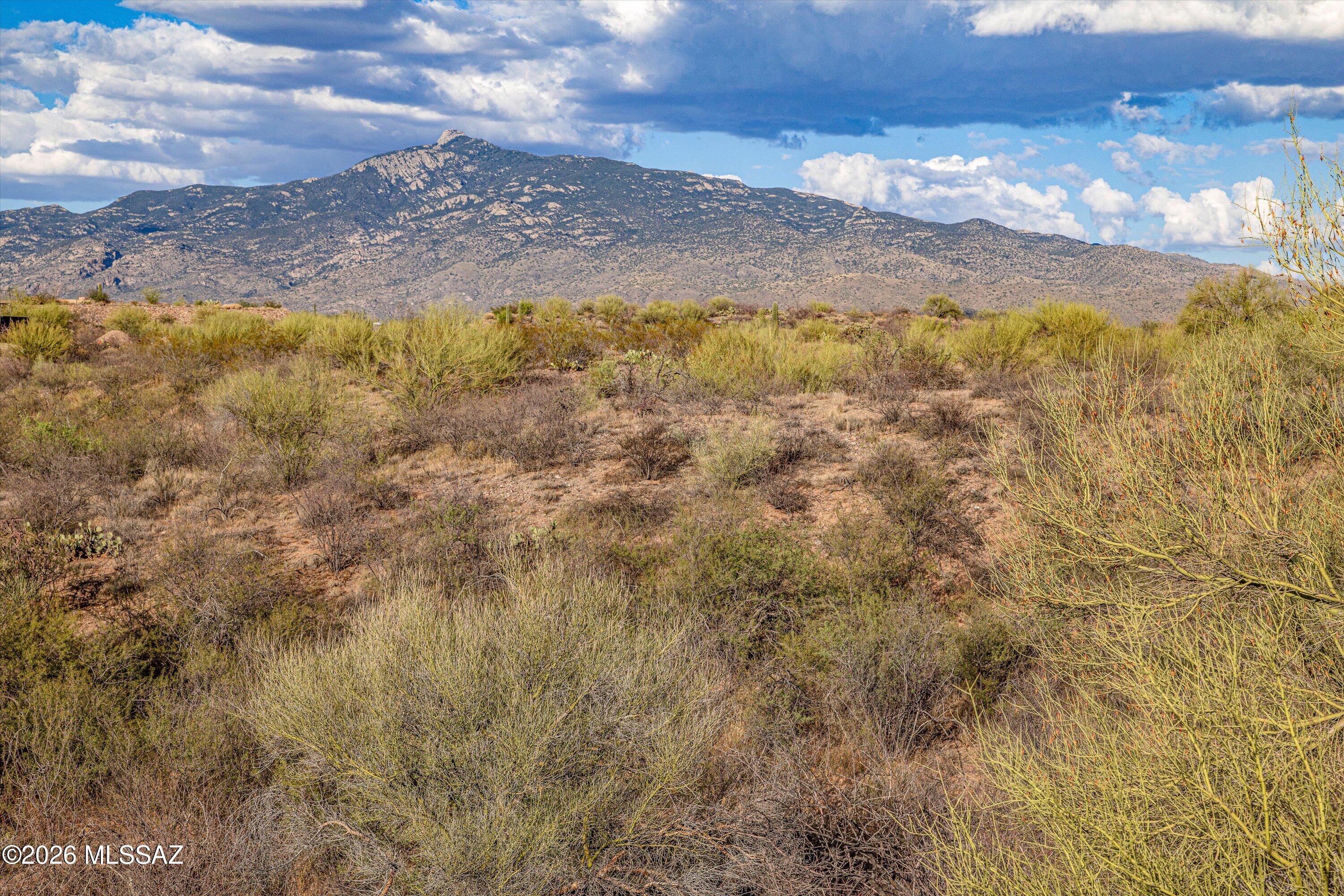 Coyote Creek II - Land