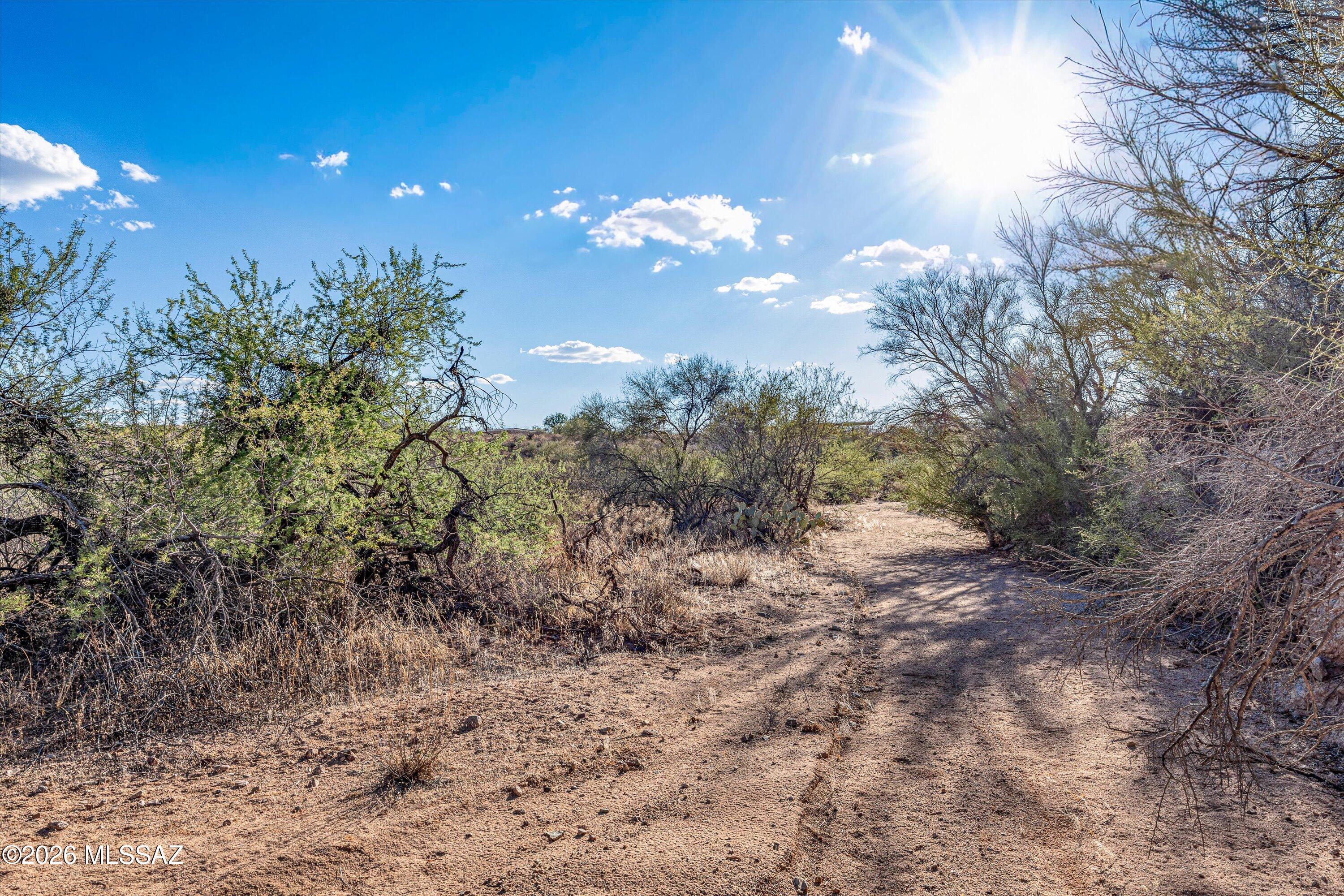 Coyote Creek II - Land
