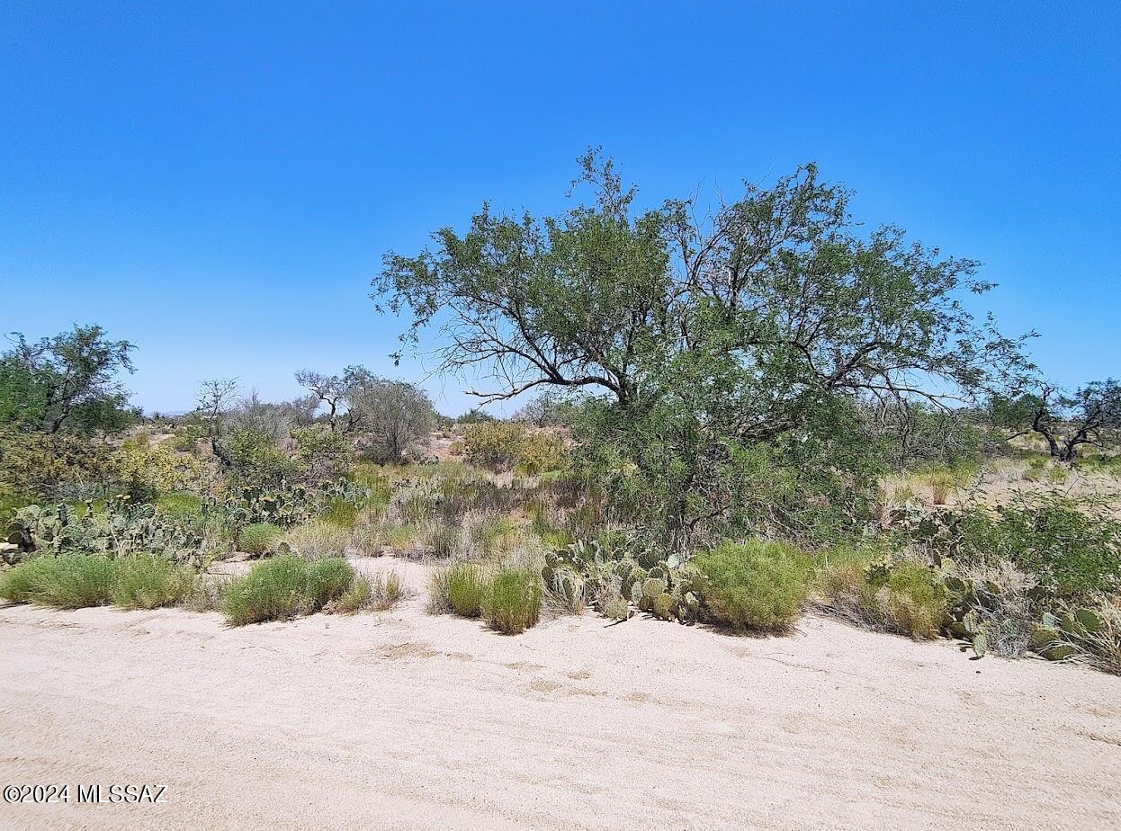 Known for its picturesque views, beautiful sunsets and natural desert wildlife, Diamond Bell Ranch is the perfect place to put down roots! Far enough from the city to feel like country life, but close enough to drive into town for anything you could need. This lot is almost an acre. Just think of the things you could do with it! The same owner owns lot 416 next door - buy both to expand it to a 2-acre lot!