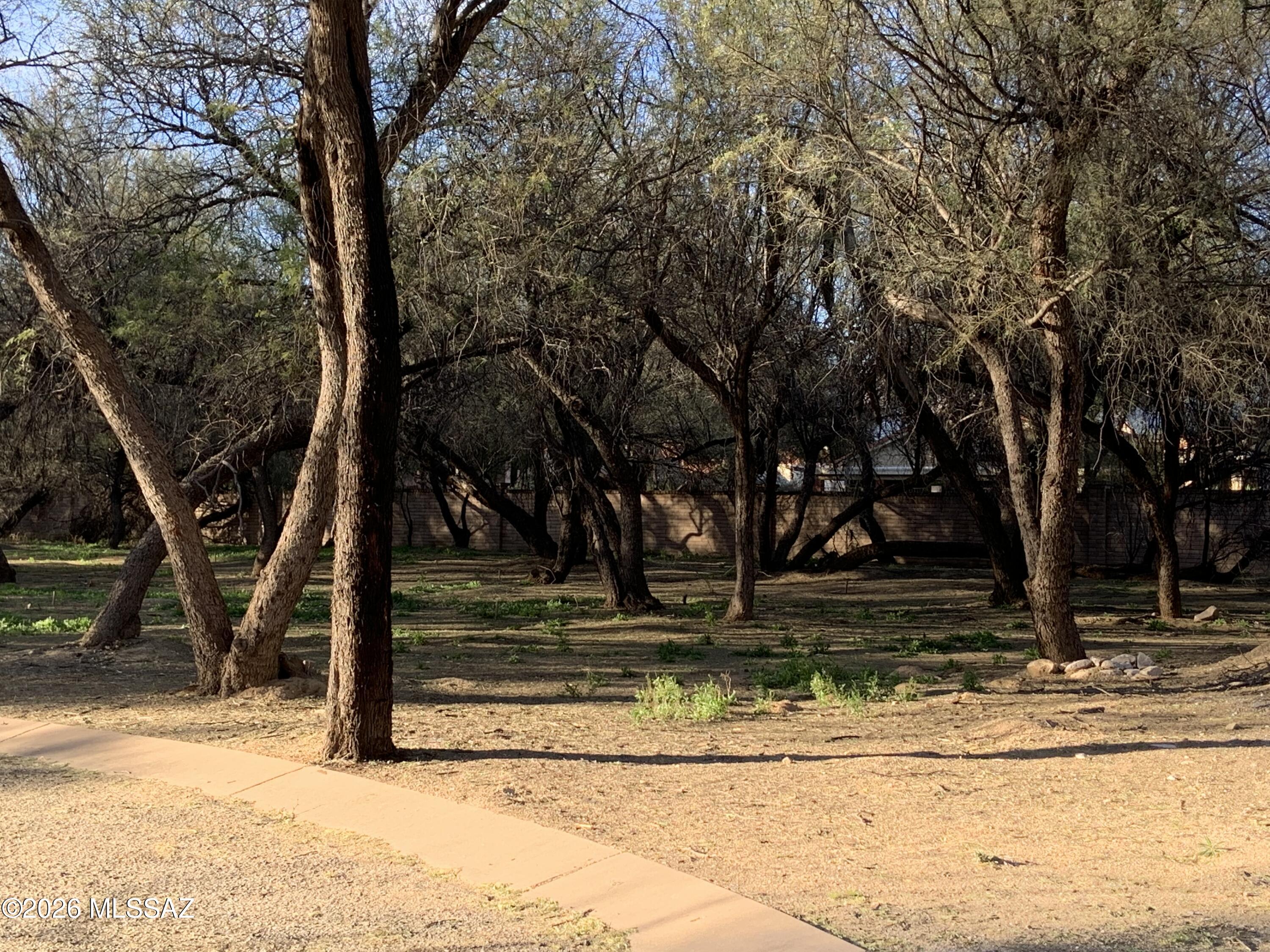 River Forest (1-20) - Land