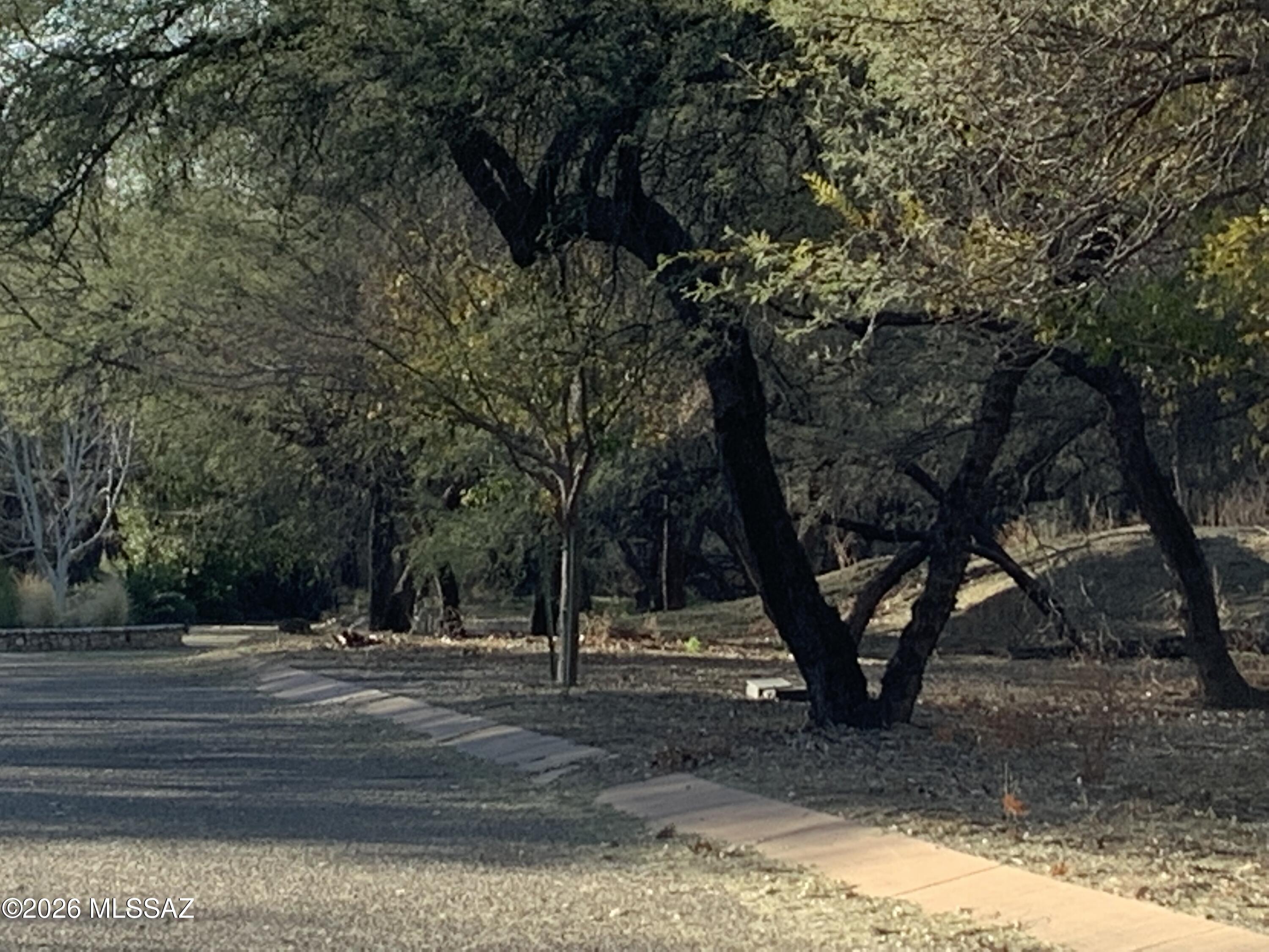 River Forest (1-20) - Land